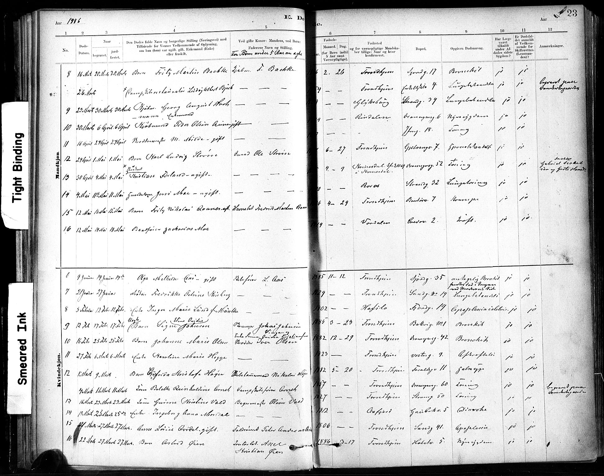 Ministerialprotokoller, klokkerbøker og fødselsregistre - Sør-Trøndelag, SAT/A-1456/602/L0120: Parish register (official) no. 602A18, 1880-1913, p. 23