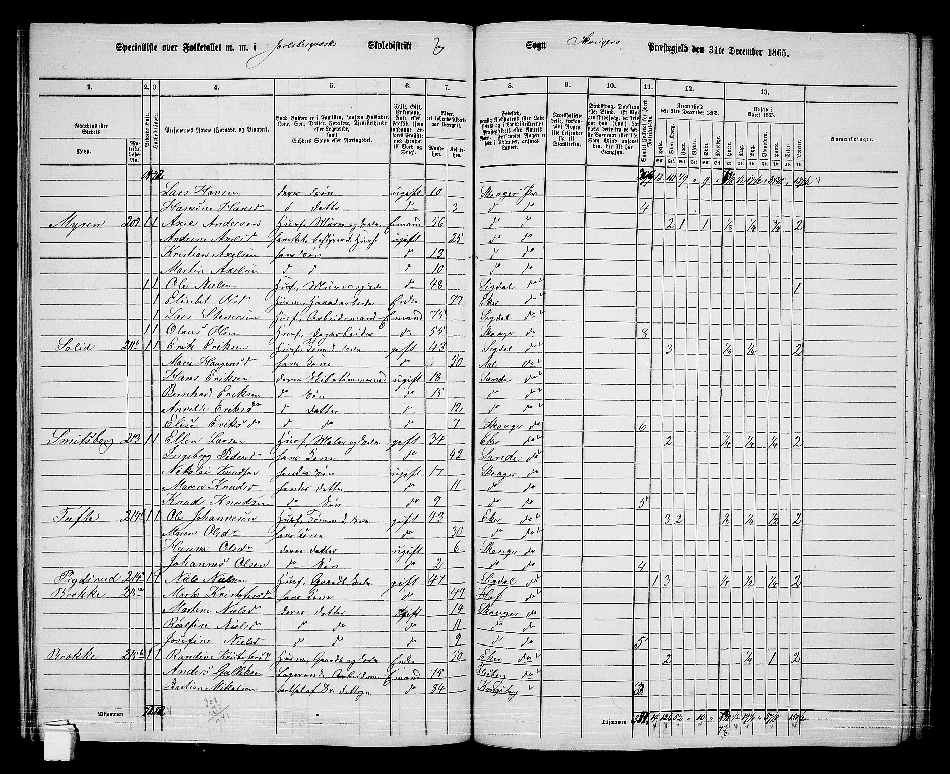 RA, 1865 census for Skoger, 1865, p. 104