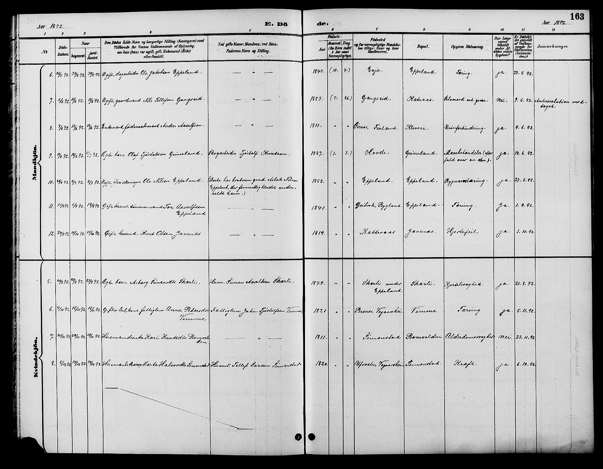 Åmli sokneprestkontor, AV/SAK-1111-0050/F/Fb/Fbc/L0004: Parish register (copy) no. B 4, 1889-1902, p. 163