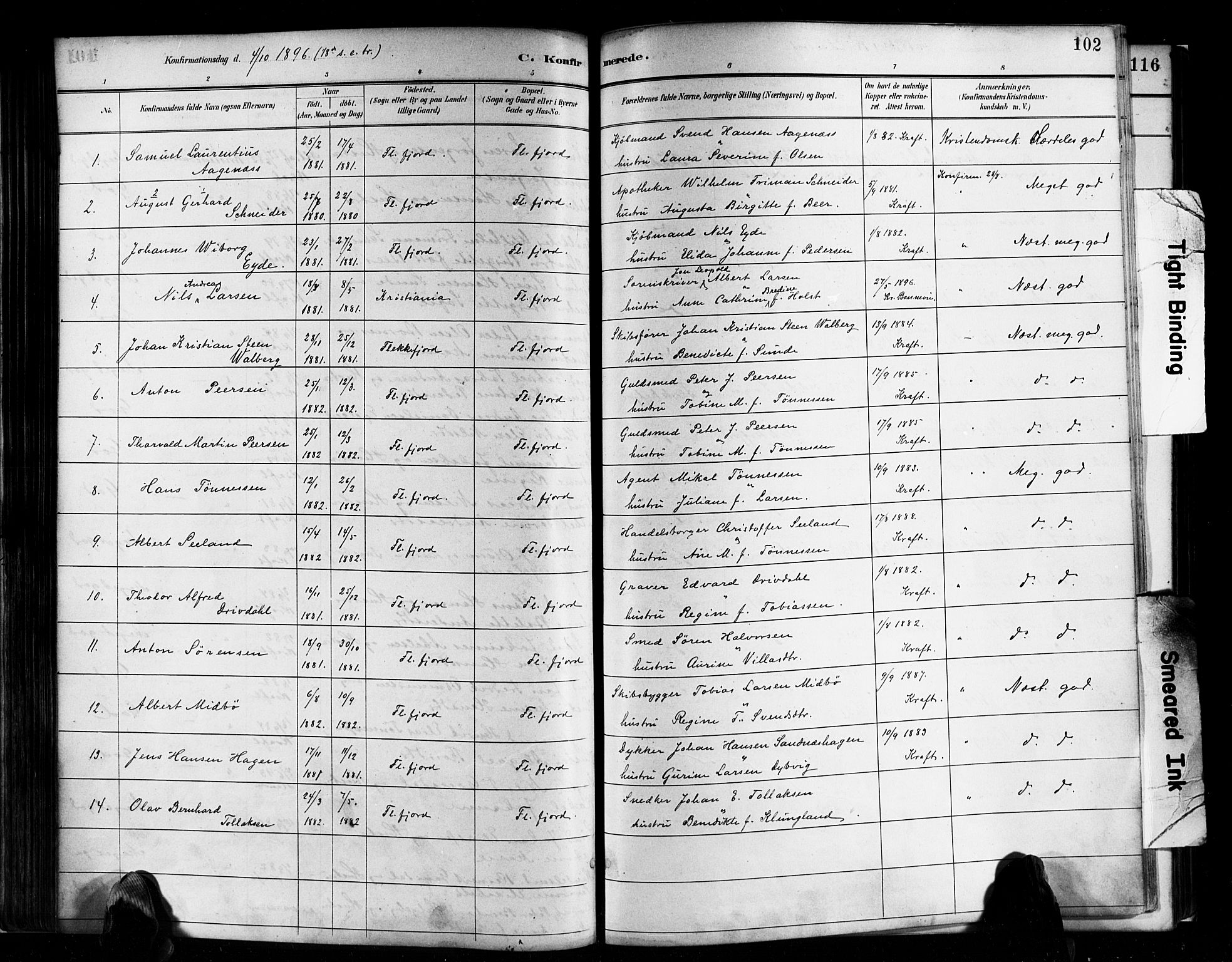 Flekkefjord sokneprestkontor, SAK/1111-0012/F/Fa/Faa/L0001: Parish register (official) no. A 1, 1885-1900, p. 102