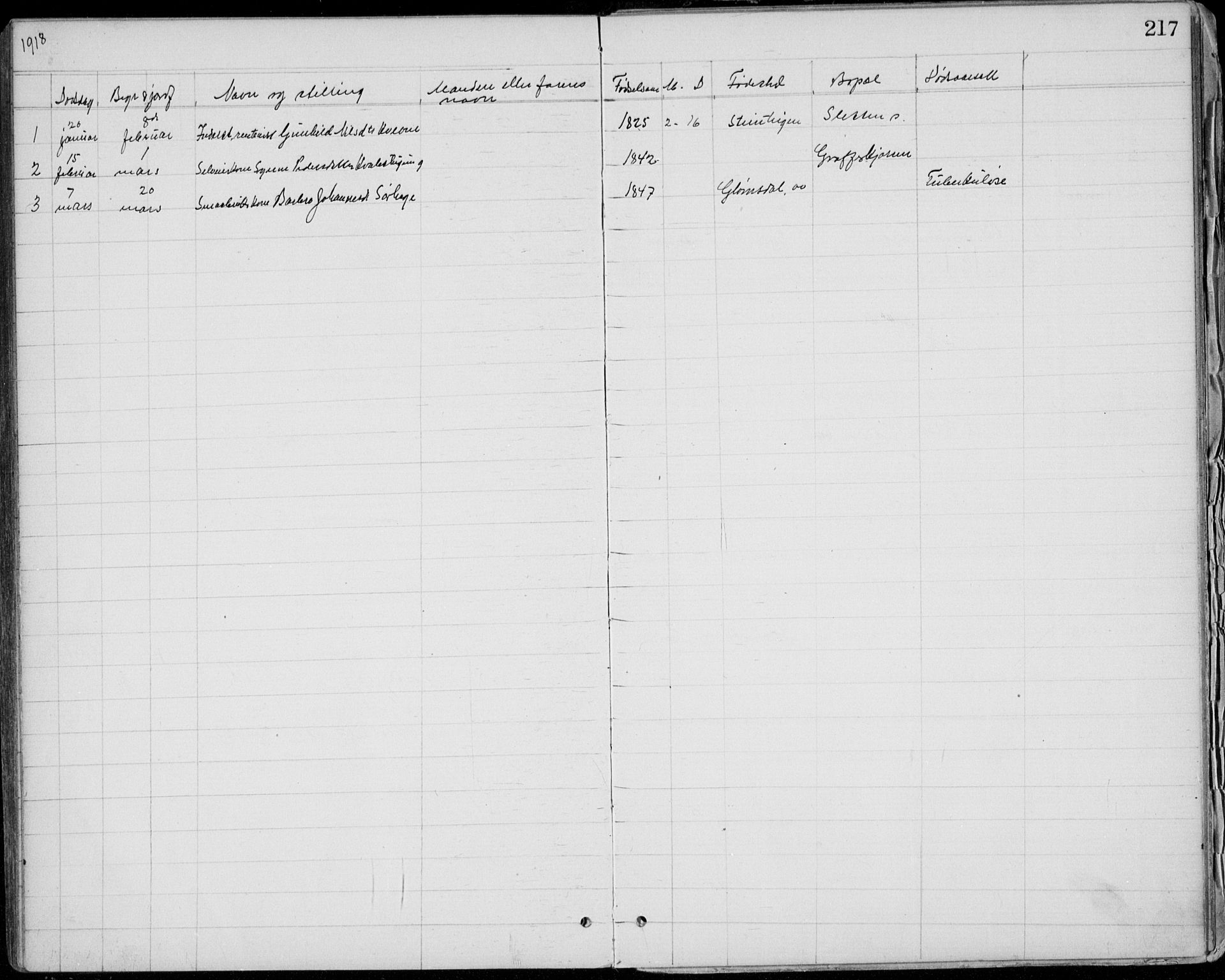 Lom prestekontor, SAH/PREST-070/L/L0013: Parish register (copy) no. 13, 1874-1938, p. 217