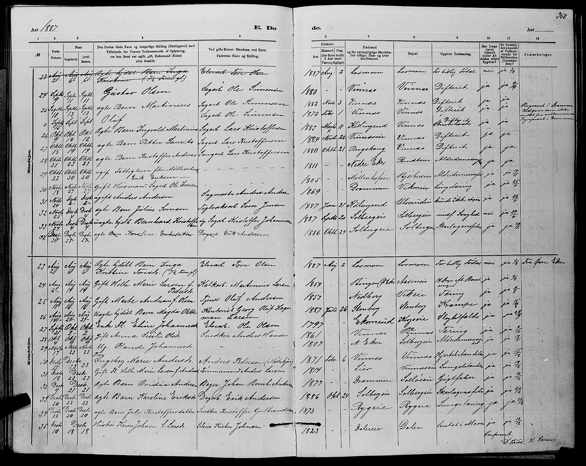 Nedre Eiker kirkebøker, AV/SAKO-A-612/G/Ga/L0002: Parish register (copy) no. 2, 1880-1896, p. 350