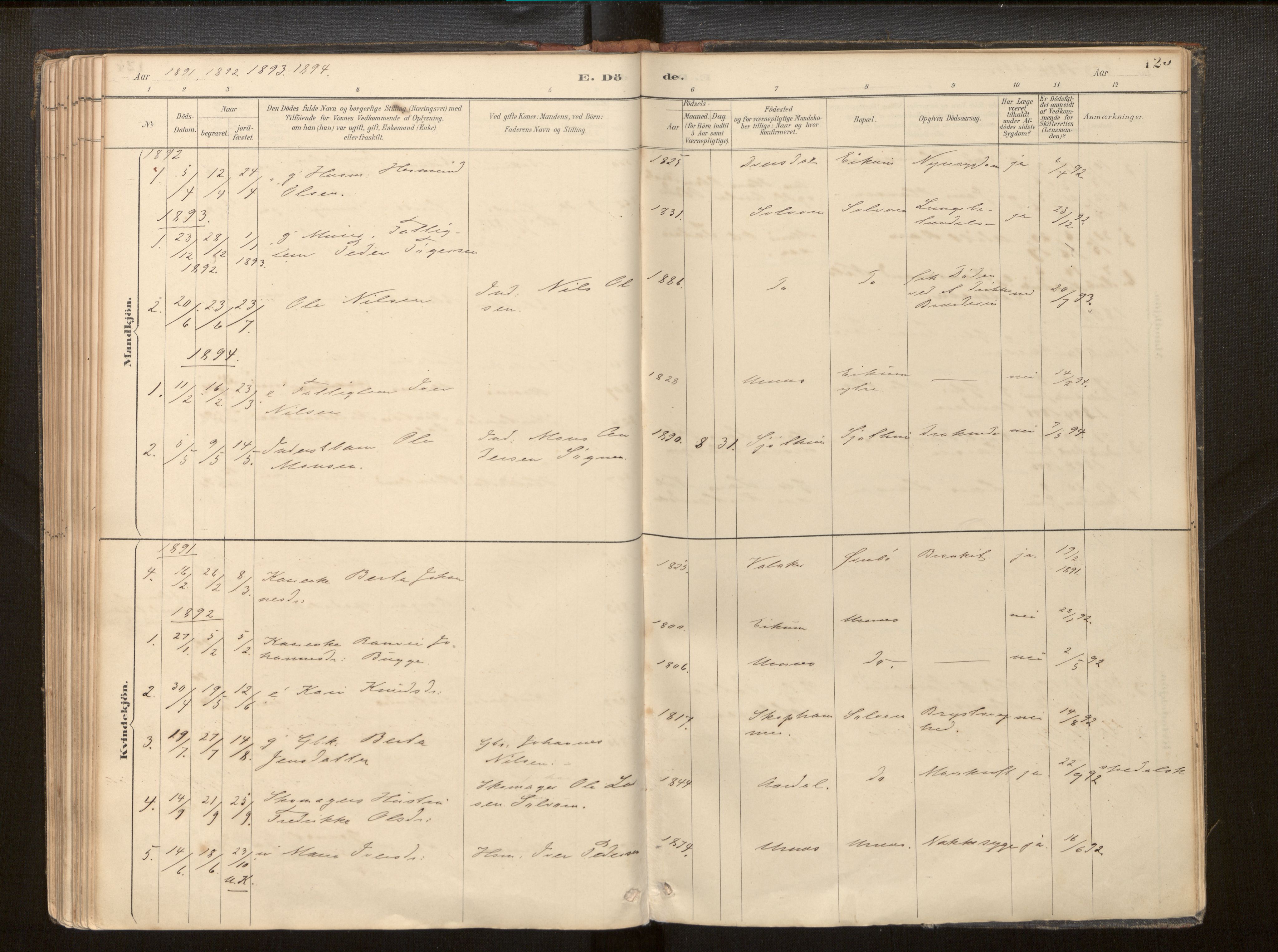 Hafslo sokneprestembete, SAB/A-80301/H/Haa/Haac/L0001: Parish register (official) no. C 1, 1886-1944, p. 125