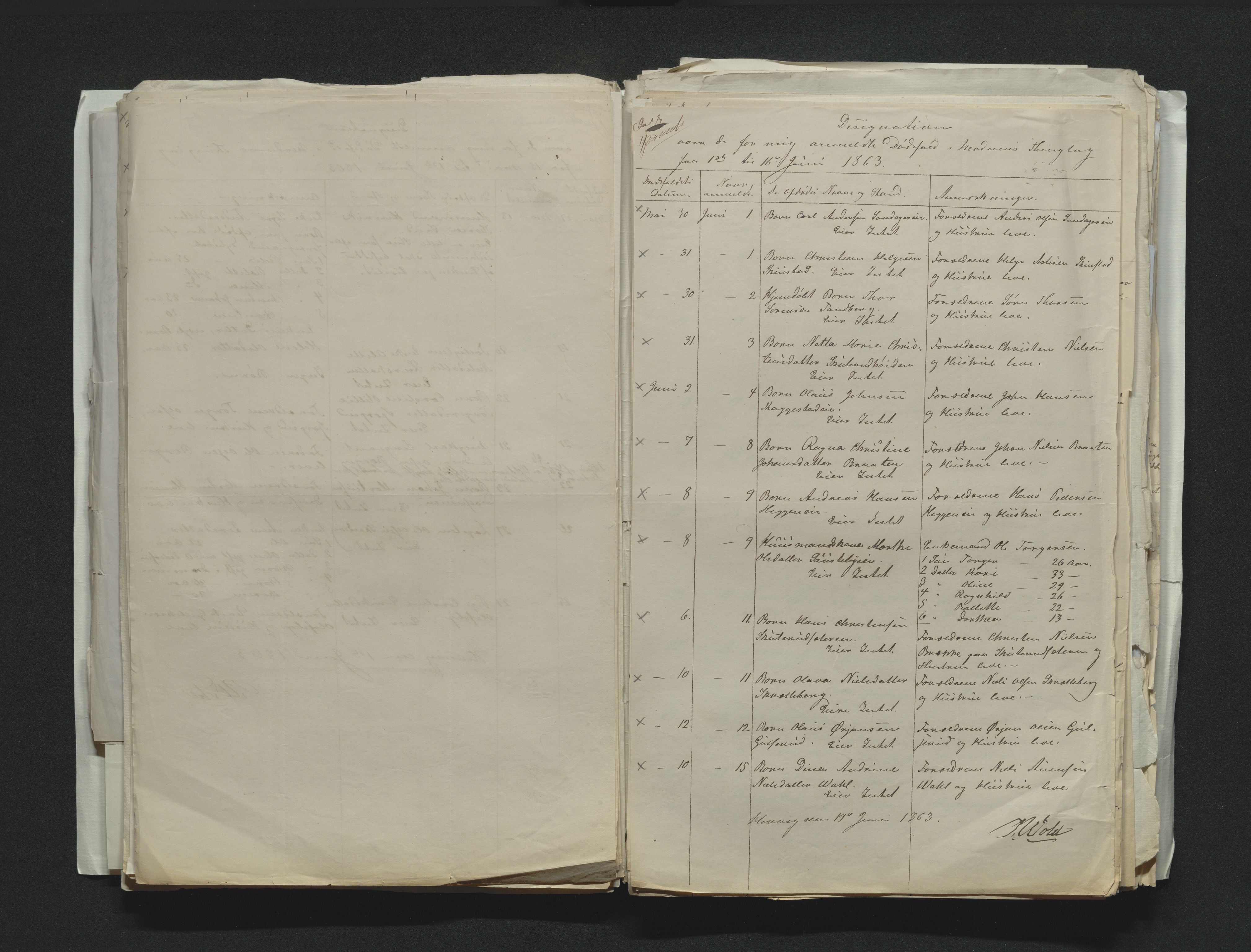 Eiker, Modum og Sigdal sorenskriveri, AV/SAKO-A-123/H/Ha/Hab/L0011: Dødsfallsmeldinger, 1862-1865, p. 246