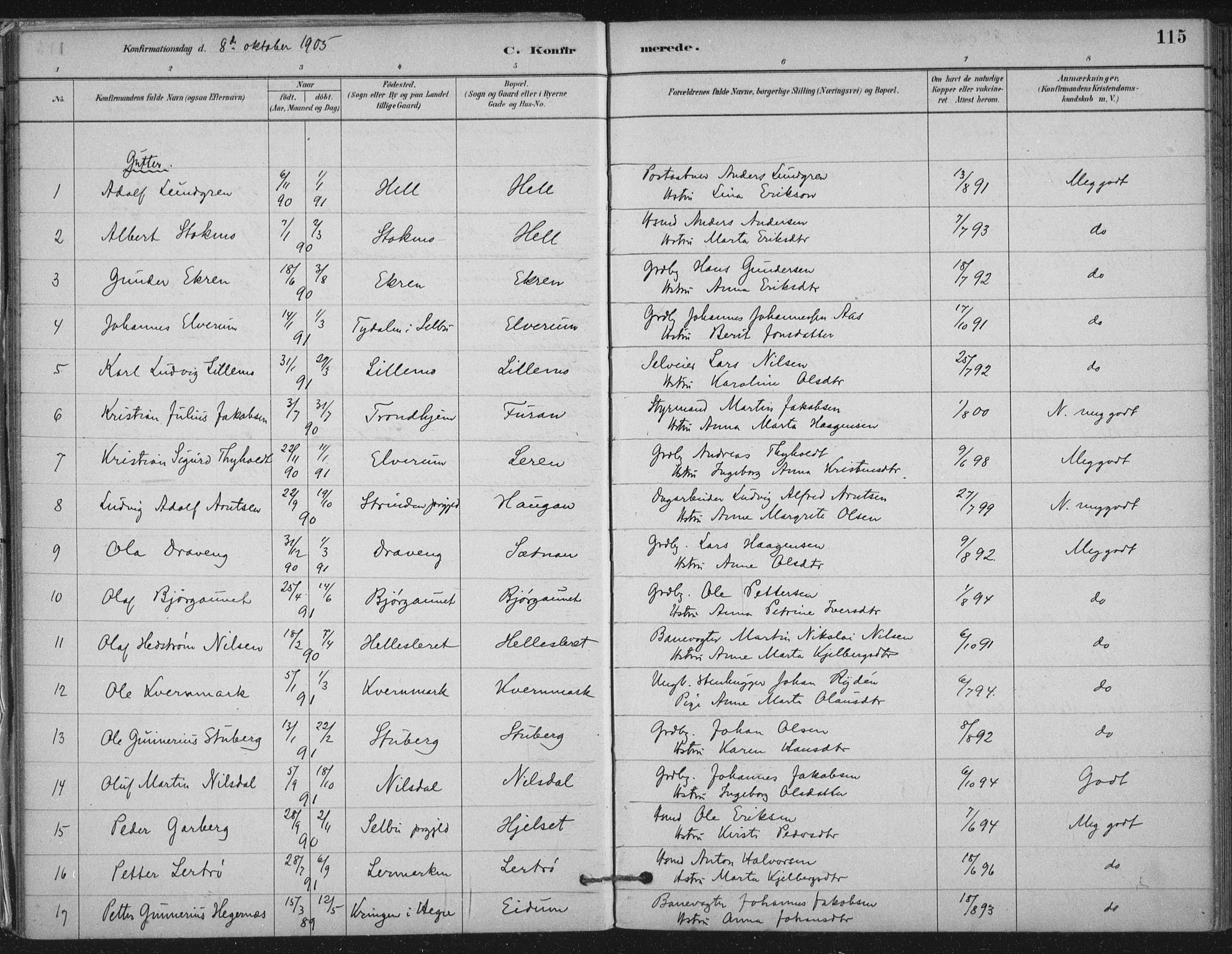 Ministerialprotokoller, klokkerbøker og fødselsregistre - Nord-Trøndelag, AV/SAT-A-1458/710/L0095: Parish register (official) no. 710A01, 1880-1914, p. 115