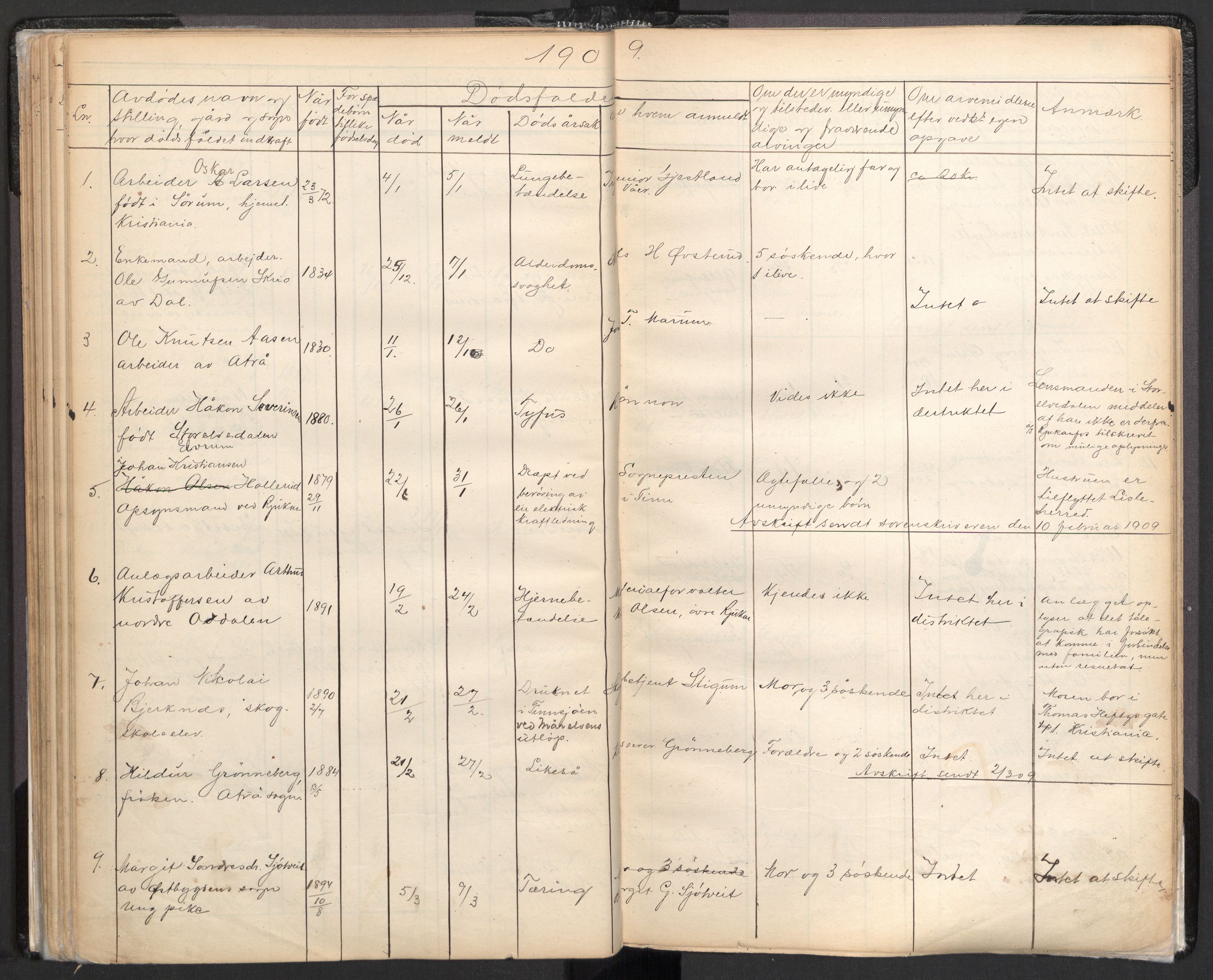 Tinn lensmannskontor, AV/SAKO-A-576/H/Ha/L0001: Dødsfallsprotokoll, 1862-1912