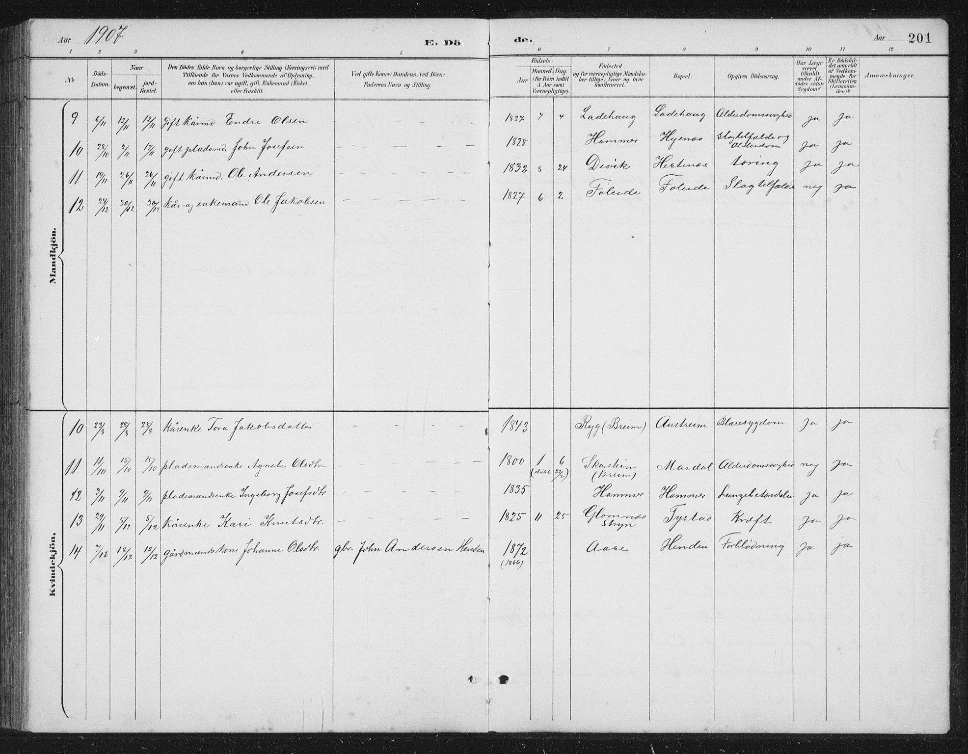 Gloppen sokneprestembete, SAB/A-80101/H/Hab/Habb/L0002: Parish register (copy) no. B 2, 1889-1909, p. 201