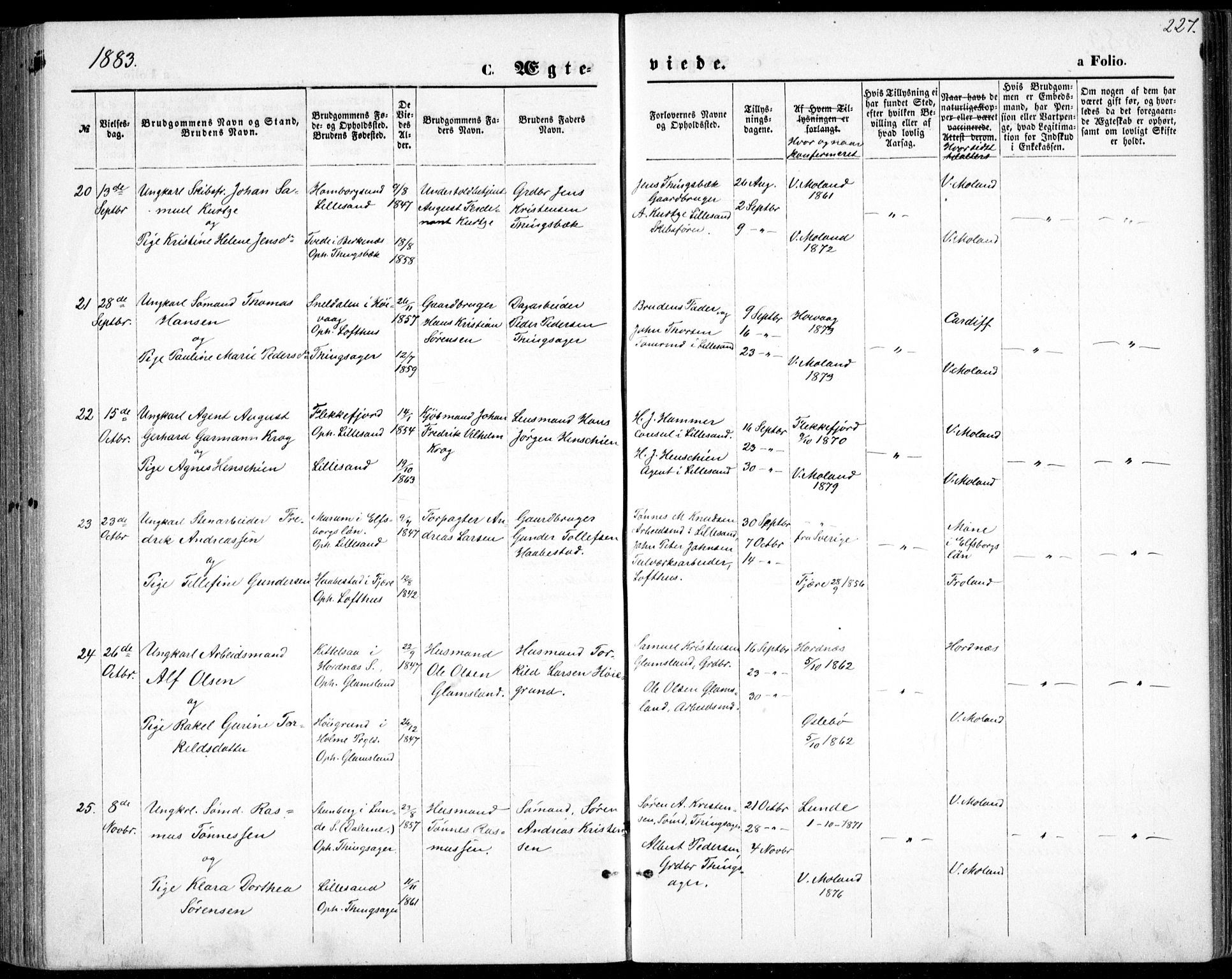 Vestre Moland sokneprestkontor, AV/SAK-1111-0046/F/Fb/Fbb/L0005: Parish register (copy) no. B 5, 1872-1883, p. 227