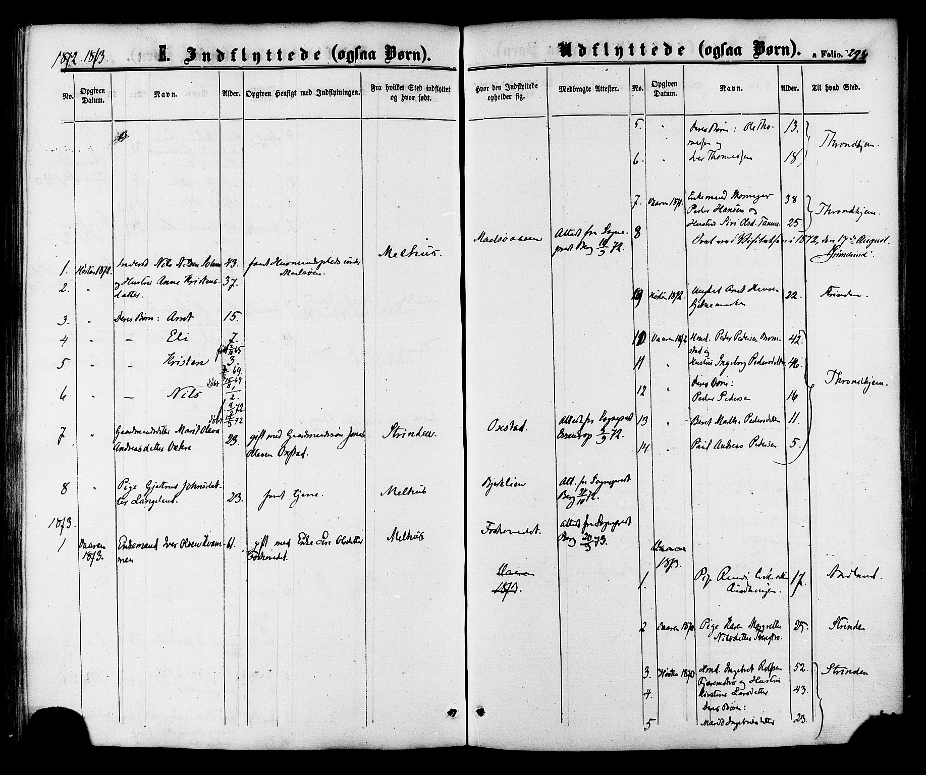 Ministerialprotokoller, klokkerbøker og fødselsregistre - Sør-Trøndelag, AV/SAT-A-1456/618/L0442: Parish register (official) no. 618A06 /1, 1863-1879, p. 294