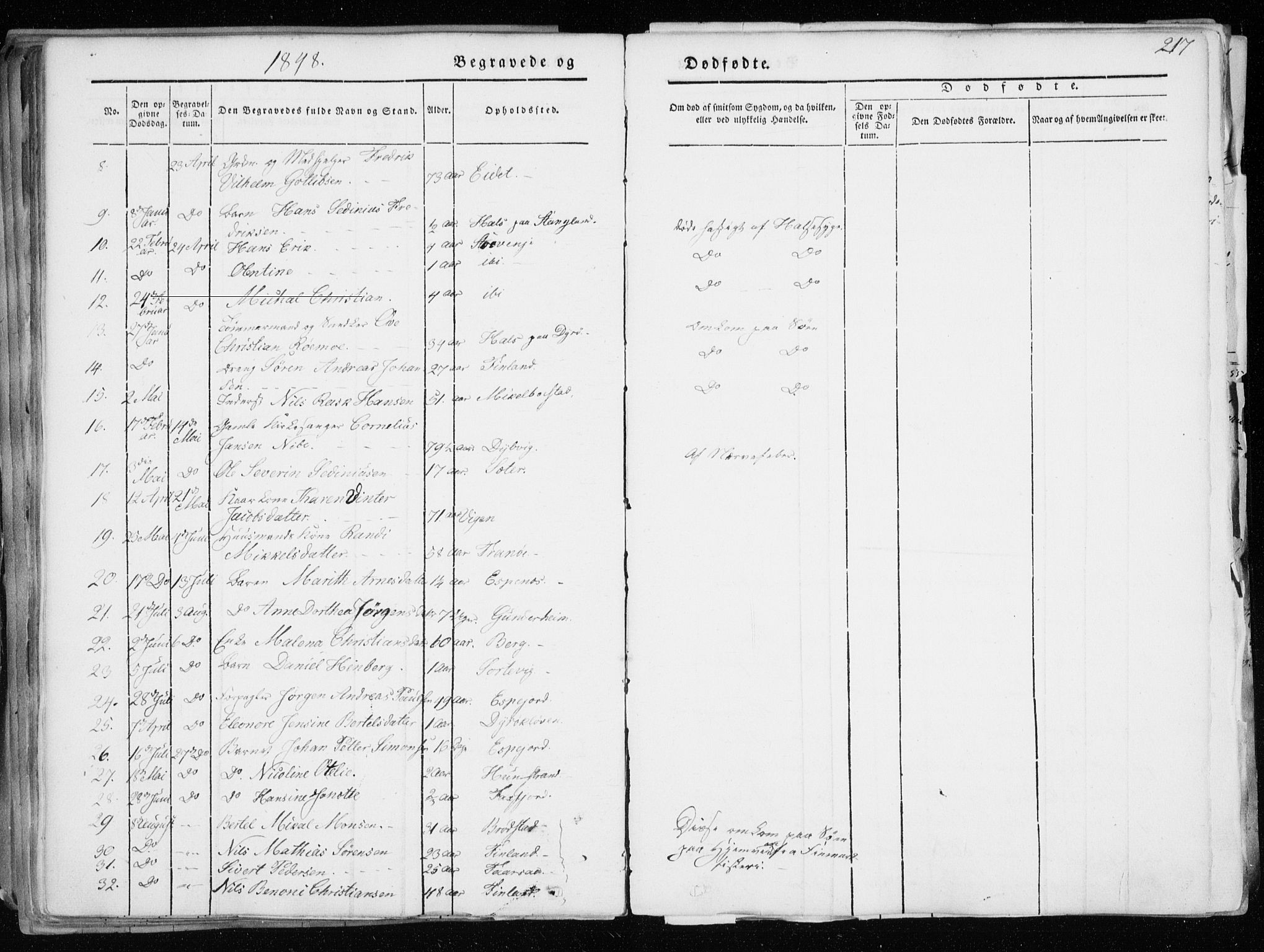 Tranøy sokneprestkontor, AV/SATØ-S-1313/I/Ia/Iaa/L0006kirke: Parish register (official) no. 6, 1844-1855, p. 217