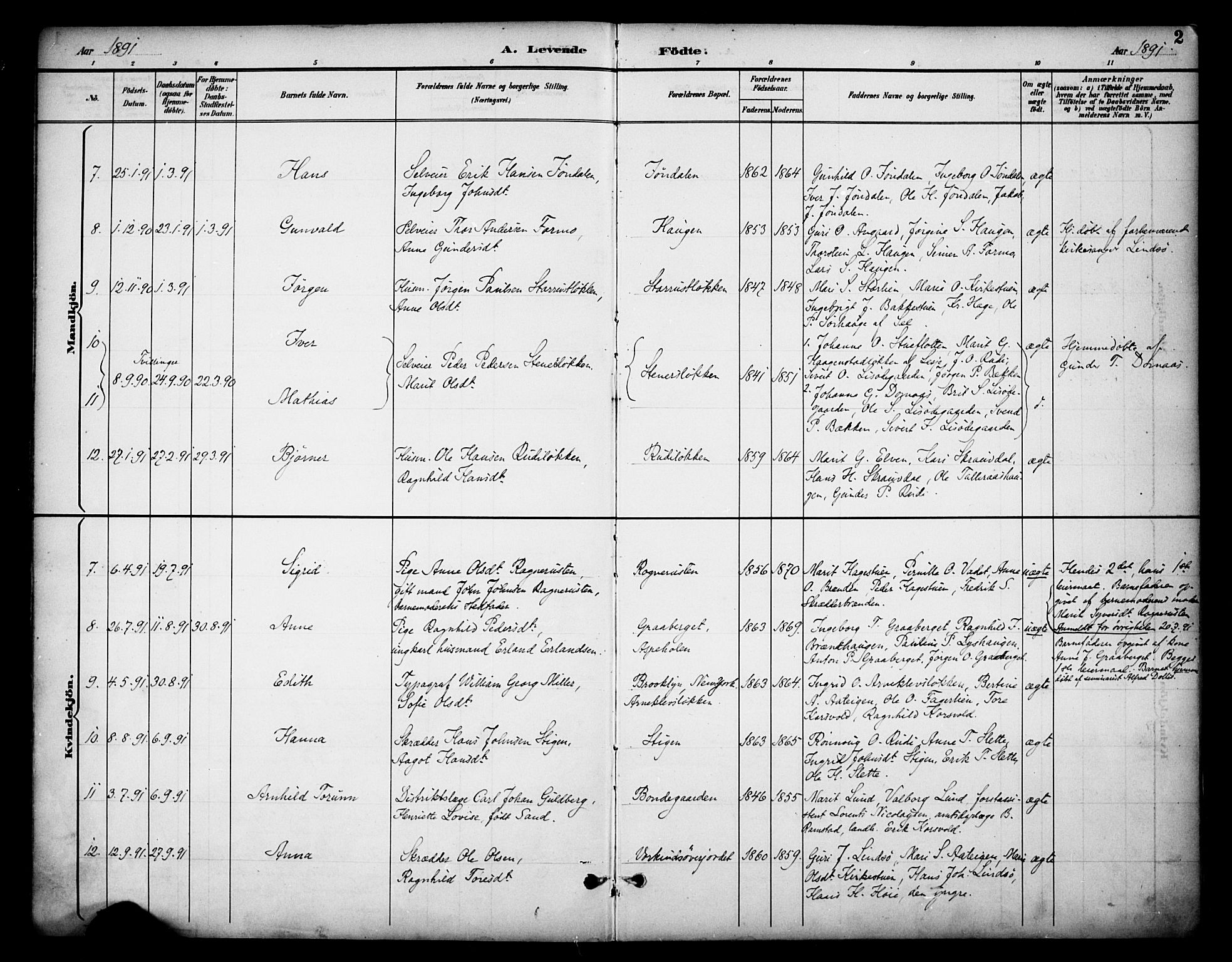 Dovre prestekontor, AV/SAH-PREST-066/H/Ha/Haa/L0003: Parish register (official) no. 3, 1891-1901