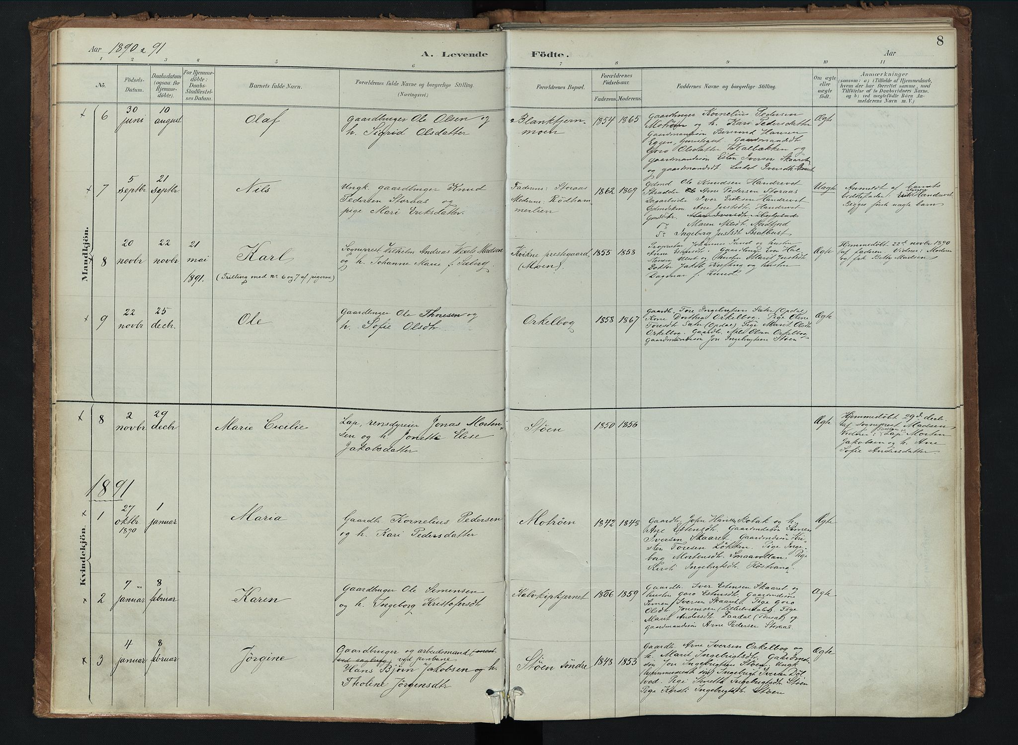 Kvikne prestekontor, AV/SAH-PREST-064/H/Ha/Haa/L0008: Parish register (official) no. 8, 1887-1911, p. 8