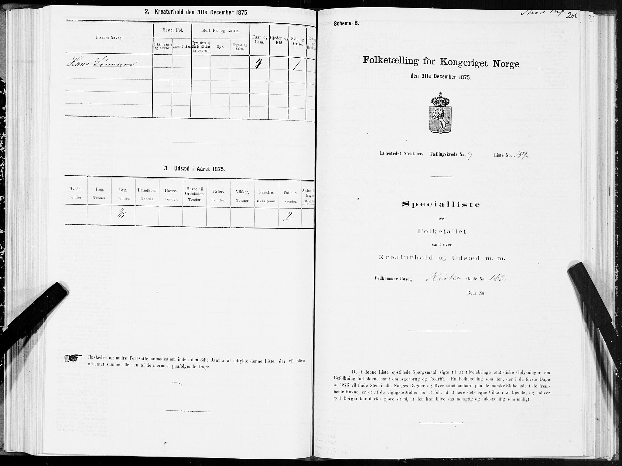 SAT, 1875 census for 1702B Steinkjer/Steinkjer, 1875, p. 201