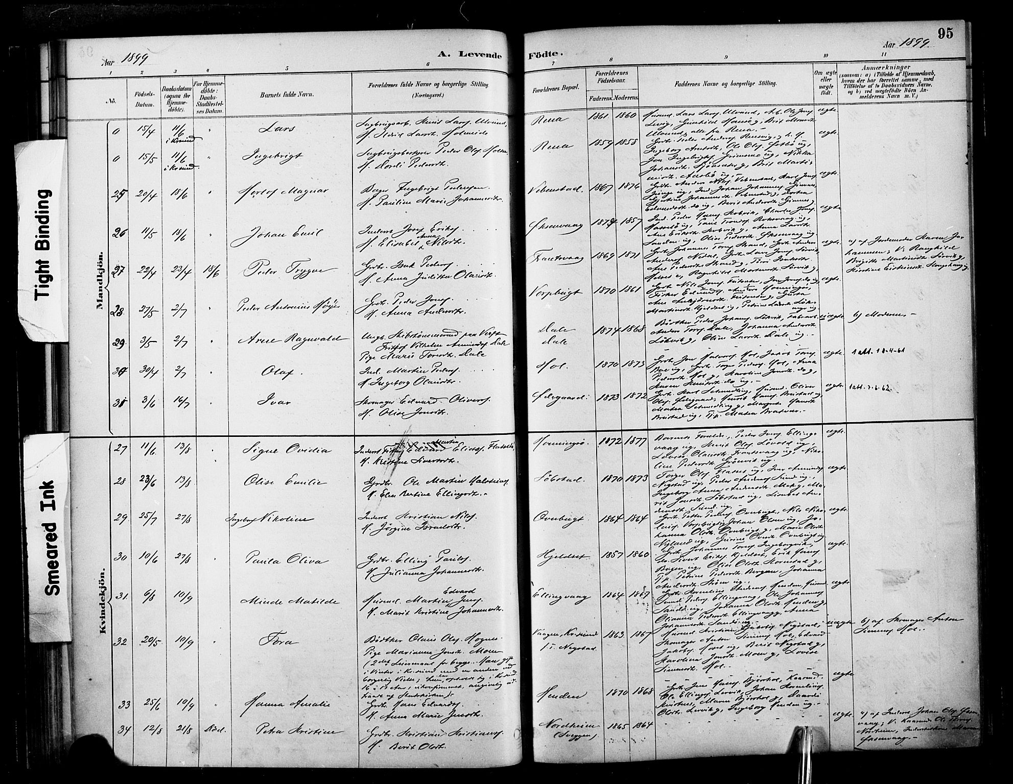 Ministerialprotokoller, klokkerbøker og fødselsregistre - Møre og Romsdal, AV/SAT-A-1454/569/L0819: Parish register (official) no. 569A05, 1885-1899, p. 95