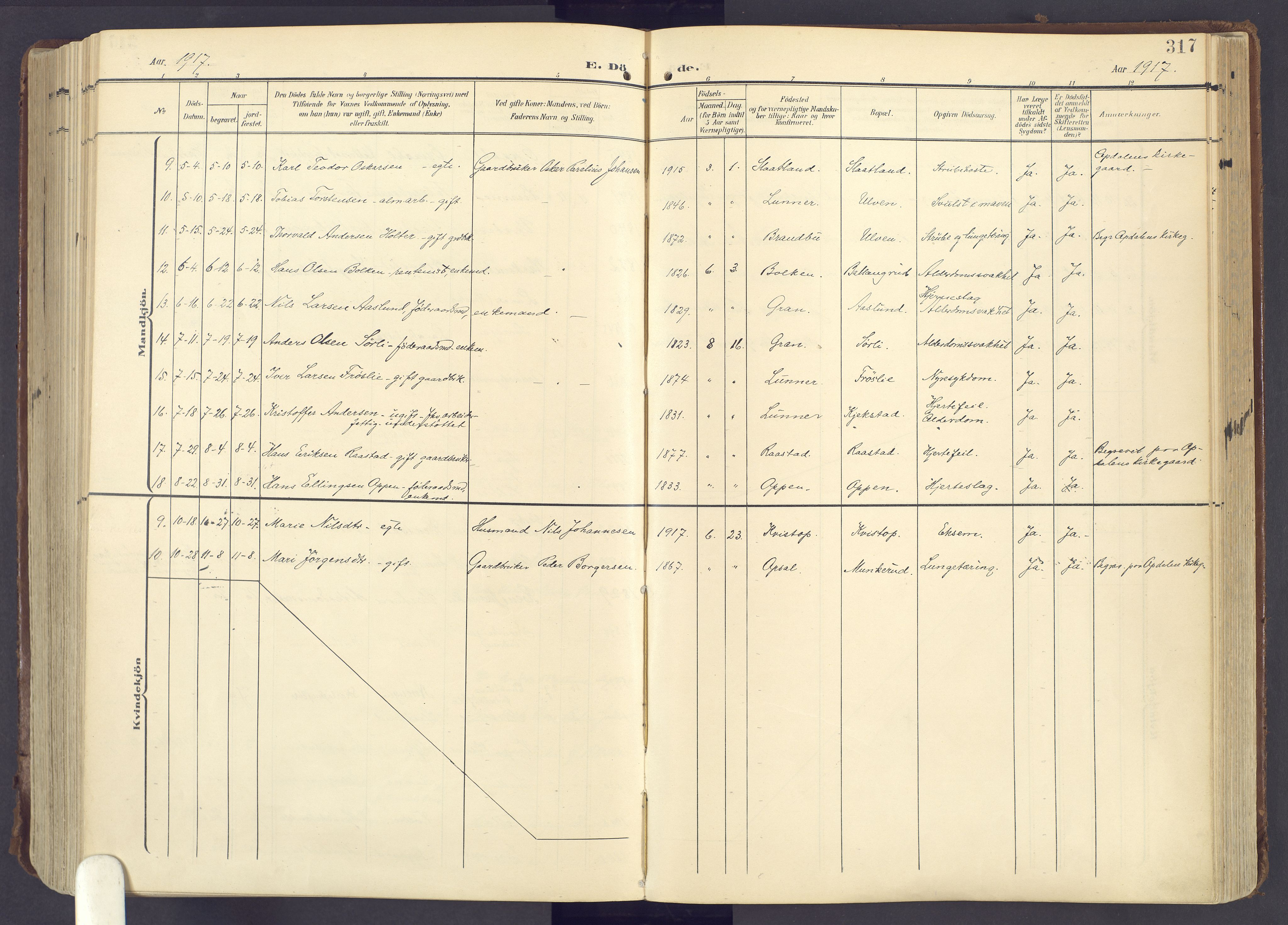 Lunner prestekontor, SAH/PREST-118/H/Ha/Haa/L0001: Parish register (official) no. 1, 1907-1922, p. 317
