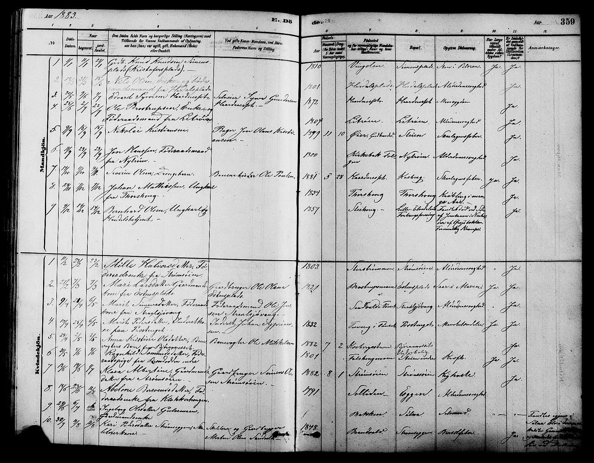 Alvdal prestekontor, AV/SAH-PREST-060/H/Ha/Hab/L0003: Parish register (copy) no. 3, 1878-1907, p. 359