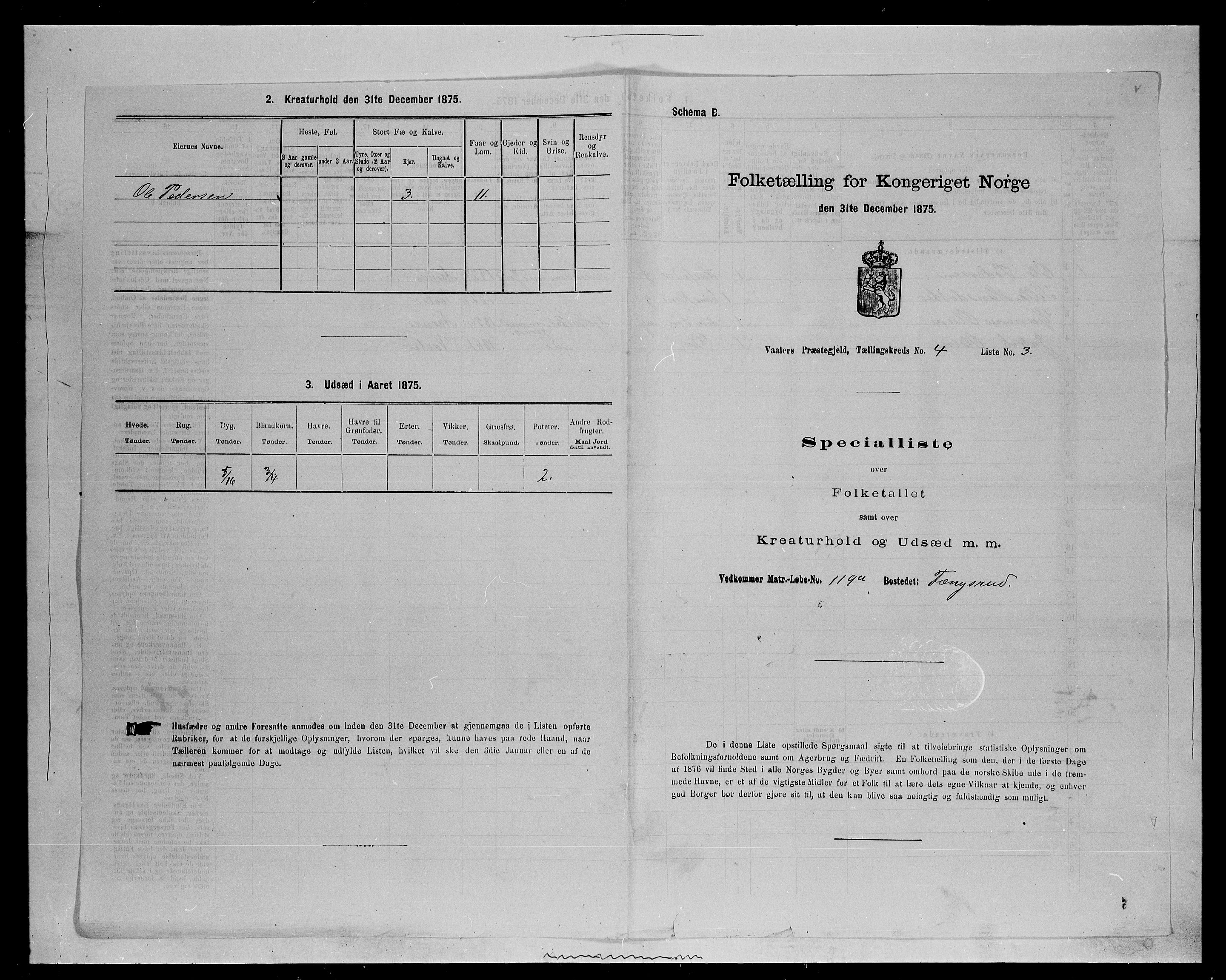 SAH, 1875 census for 0426P Våler parish (Hedmark), 1875, p. 498