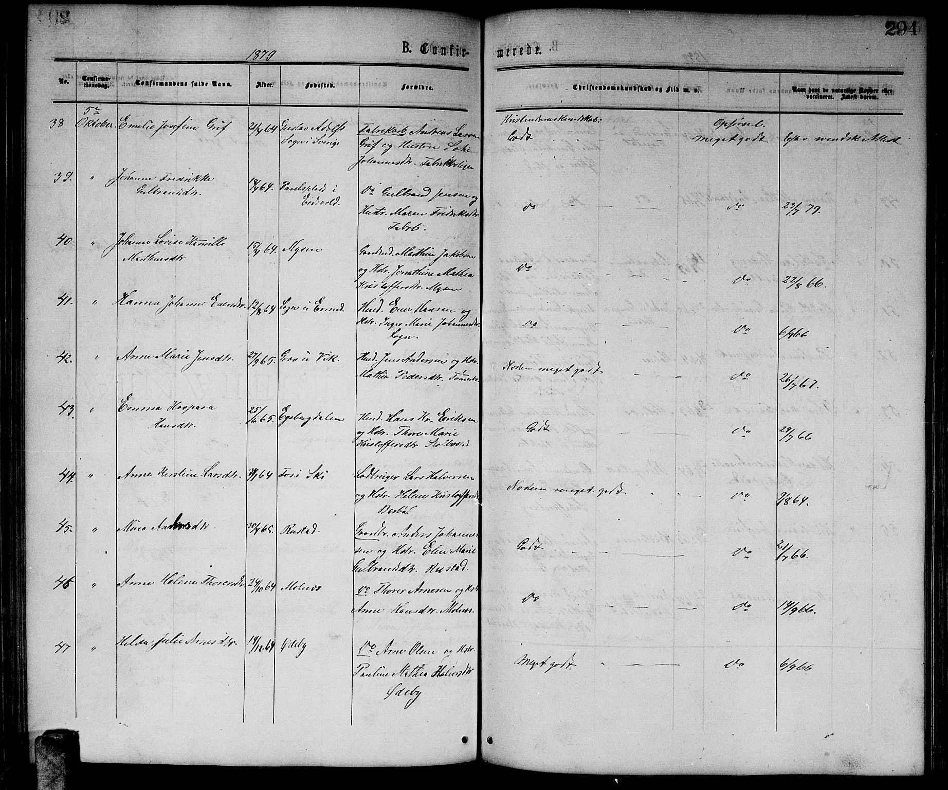 Enebakk prestekontor Kirkebøker, AV/SAO-A-10171c/G/Ga/L0005: Parish register (copy) no. I 5, 1867-1888, p. 294