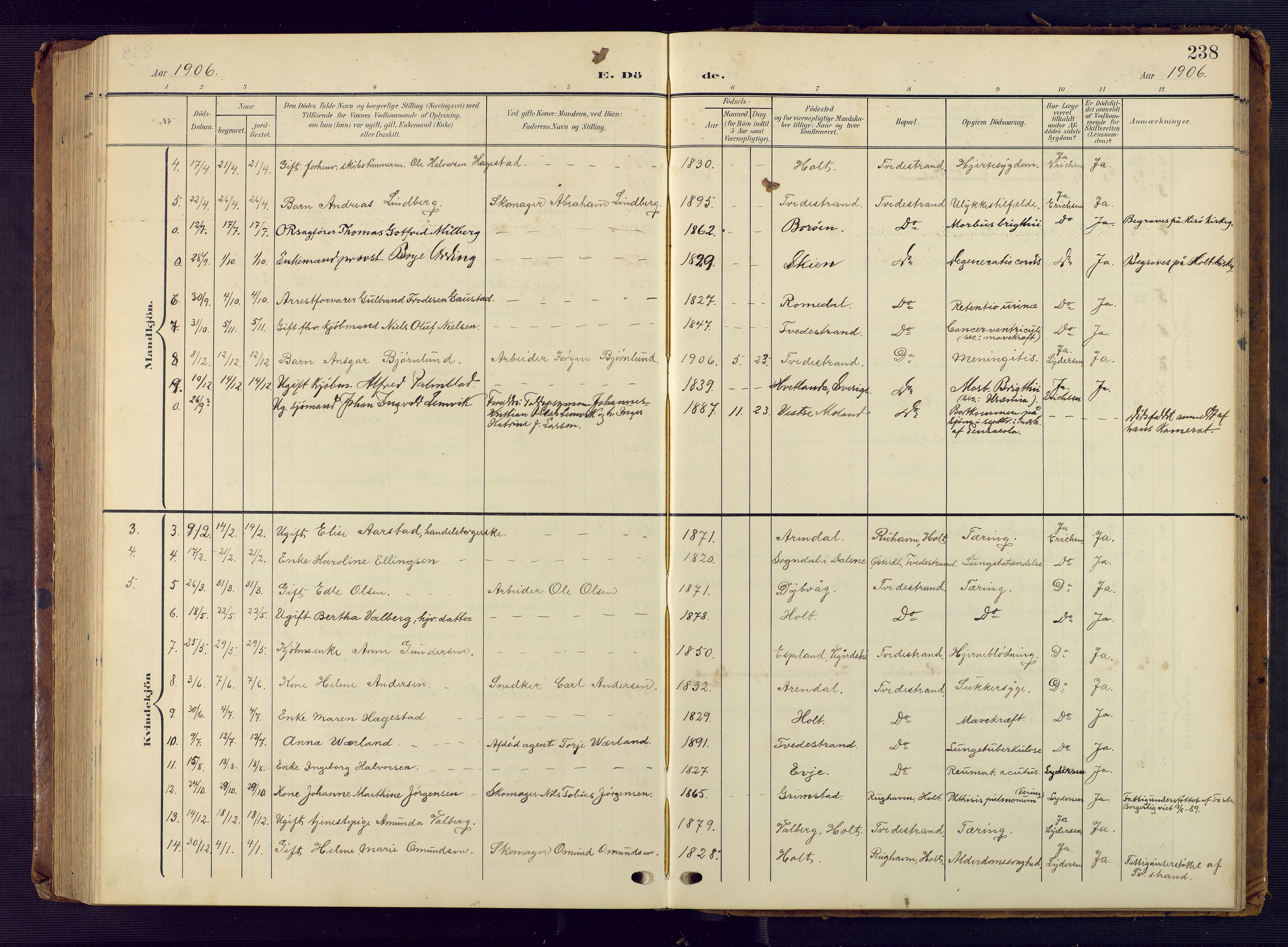 Tvedestrand sokneprestkontor, AV/SAK-1111-0042/F/Fb/L0001: Parish register (copy) no. B 1, 1902-1956, p. 238