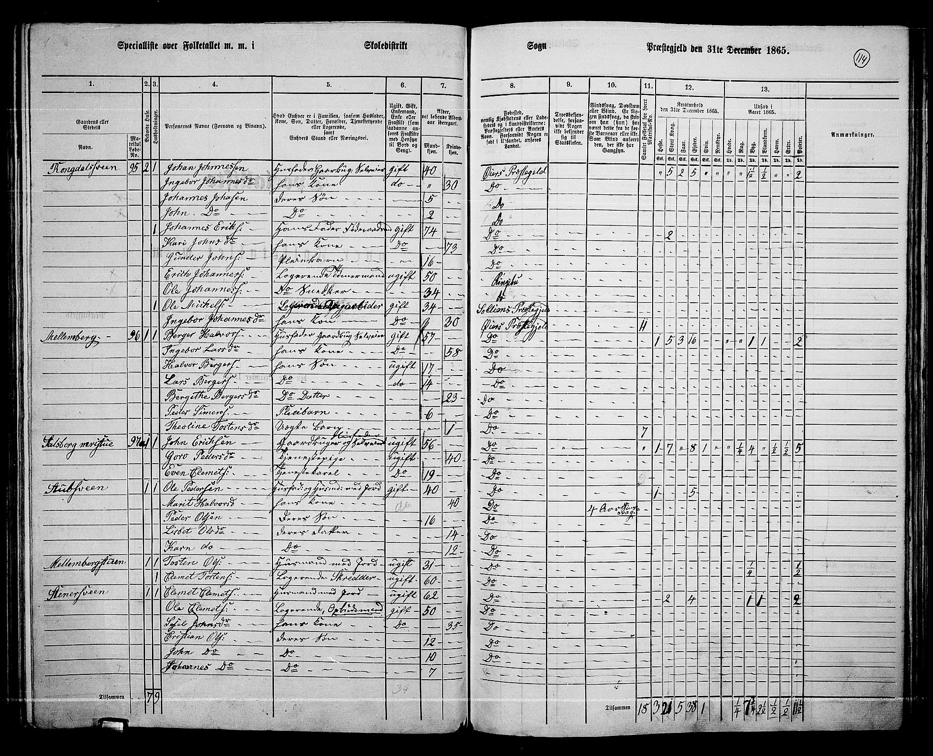 RA, 1865 census for Øyer, 1865, p. 100