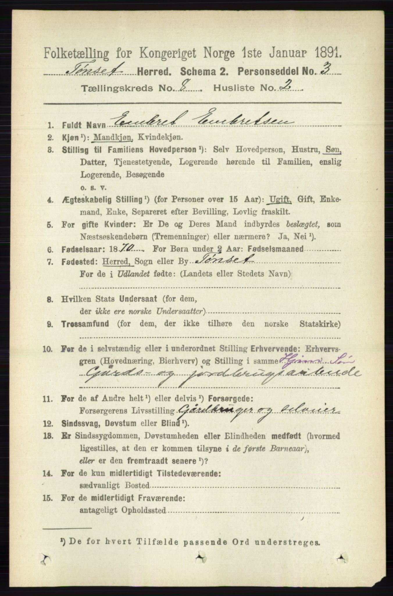 RA, 1891 census for 0437 Tynset, 1891, p. 2083