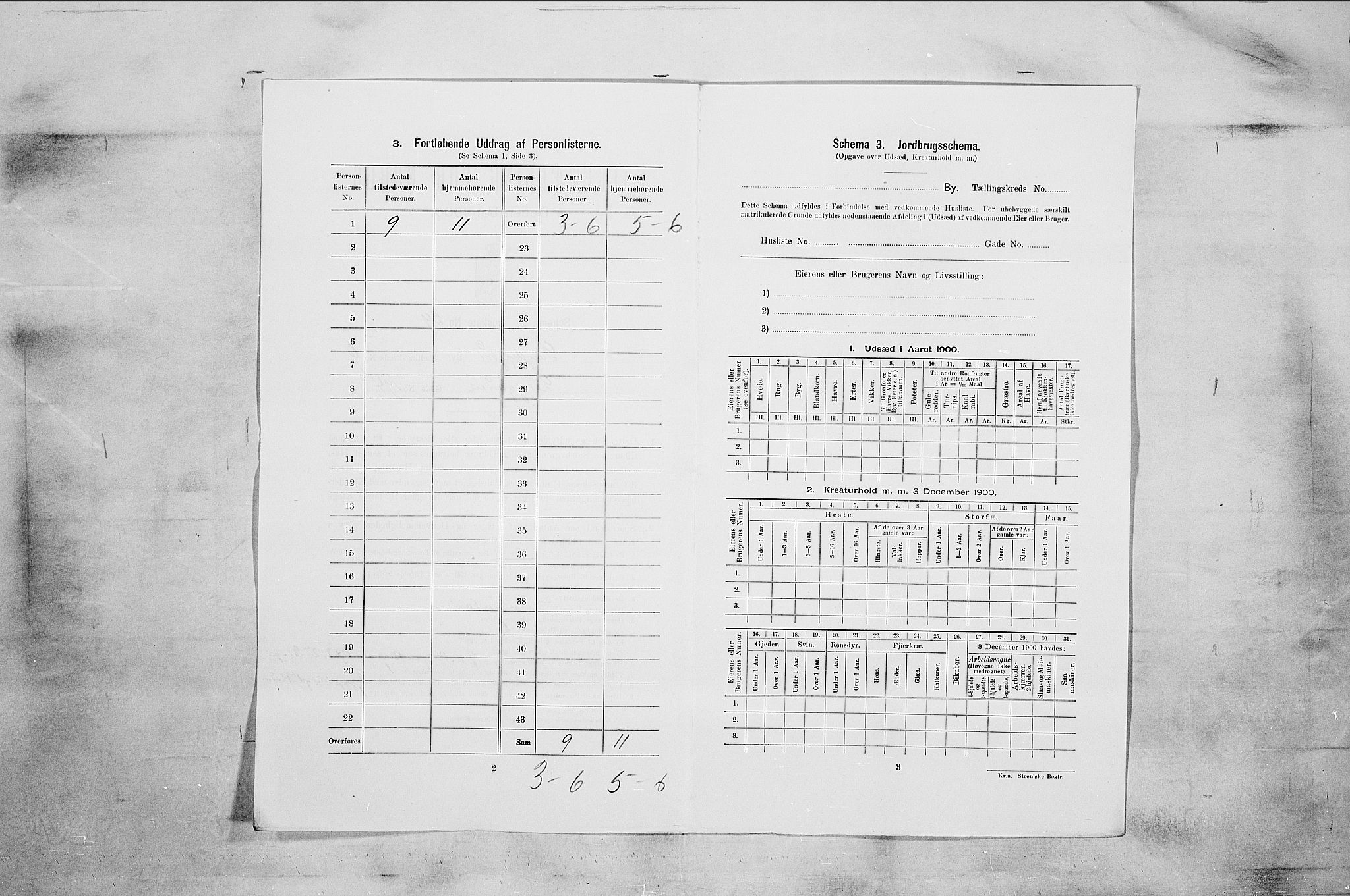 RA, 1900 census for Sandefjord, 1900, p. 1667