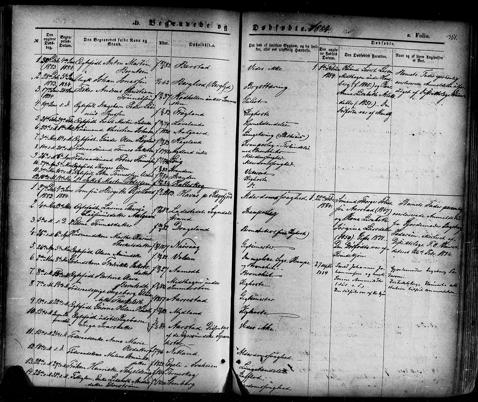 Sokndal sokneprestkontor, SAST/A-101808: Parish register (official) no. A 10, 1874-1886, p. 351