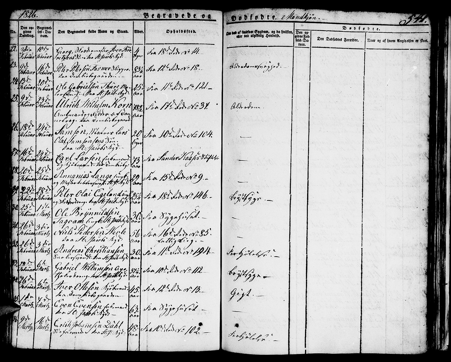 Domkirken sokneprestembete, SAB/A-74801/H/Hab/L0002: Parish register (copy) no. A 2, 1821-1839, p. 541