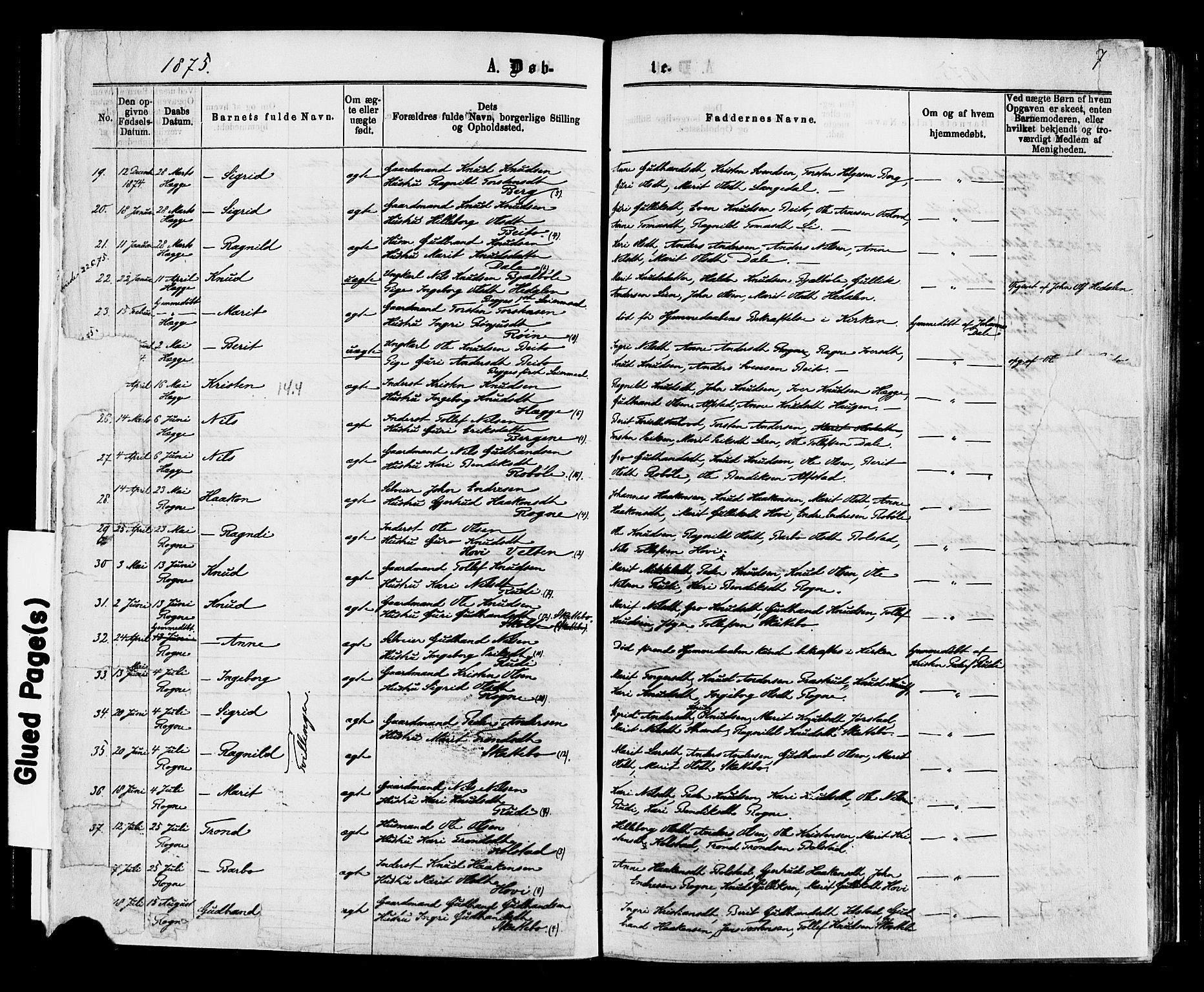 Øystre Slidre prestekontor, AV/SAH-PREST-138/H/Ha/Haa/L0002: Parish register (official) no. 2, 1874-1886, p. 7