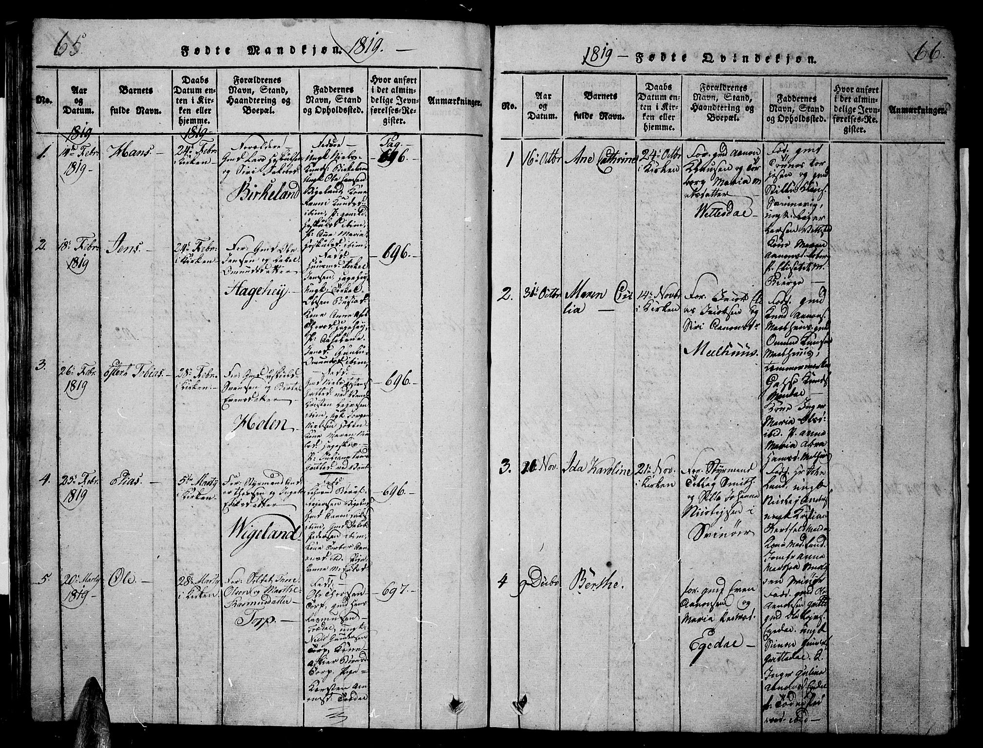 Sør-Audnedal sokneprestkontor, SAK/1111-0039/F/Fb/Fbb/L0001: Parish register (copy) no. B 1, 1815-1827, p. 65-66