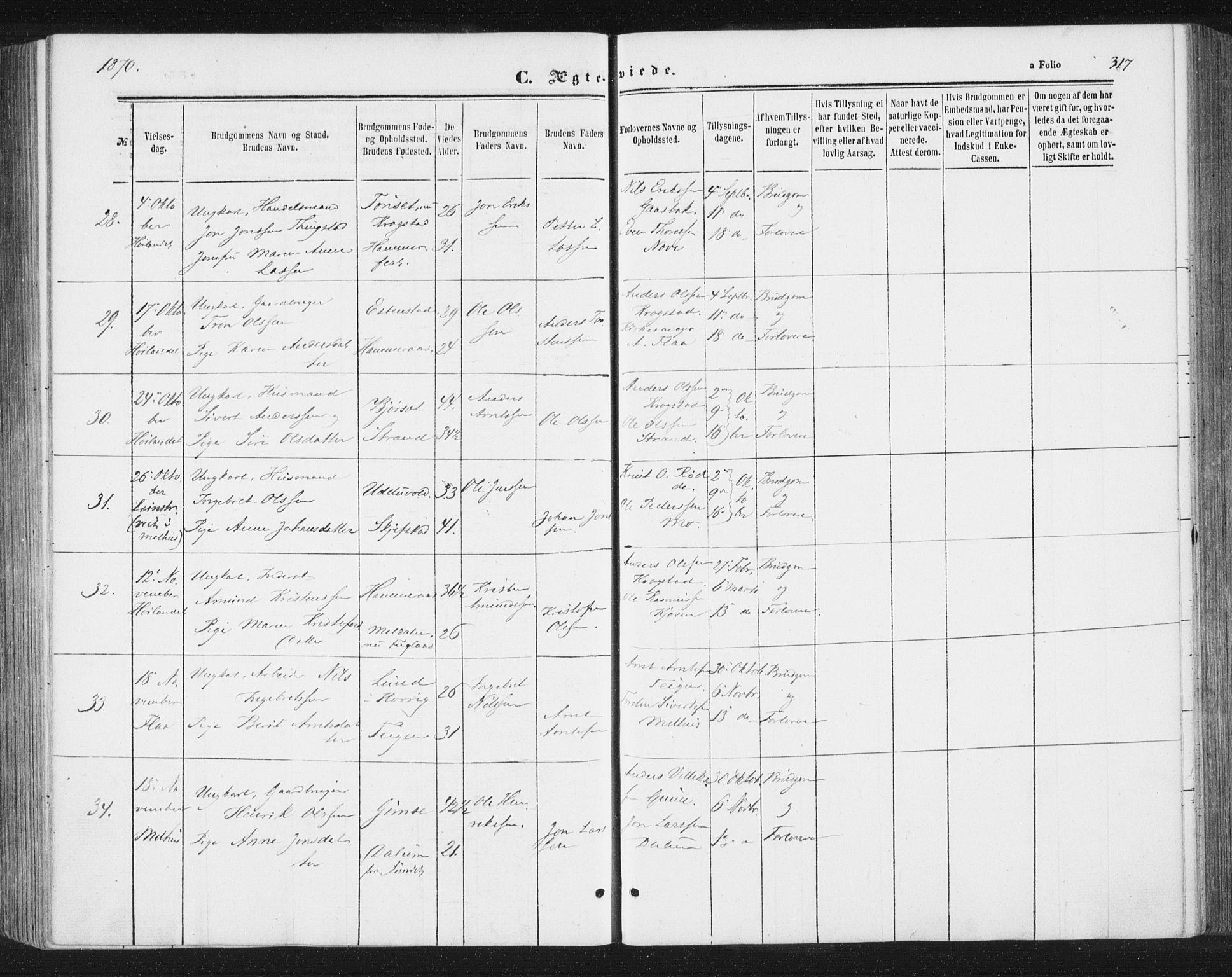 Ministerialprotokoller, klokkerbøker og fødselsregistre - Sør-Trøndelag, SAT/A-1456/691/L1077: Parish register (official) no. 691A09, 1862-1873, p. 317