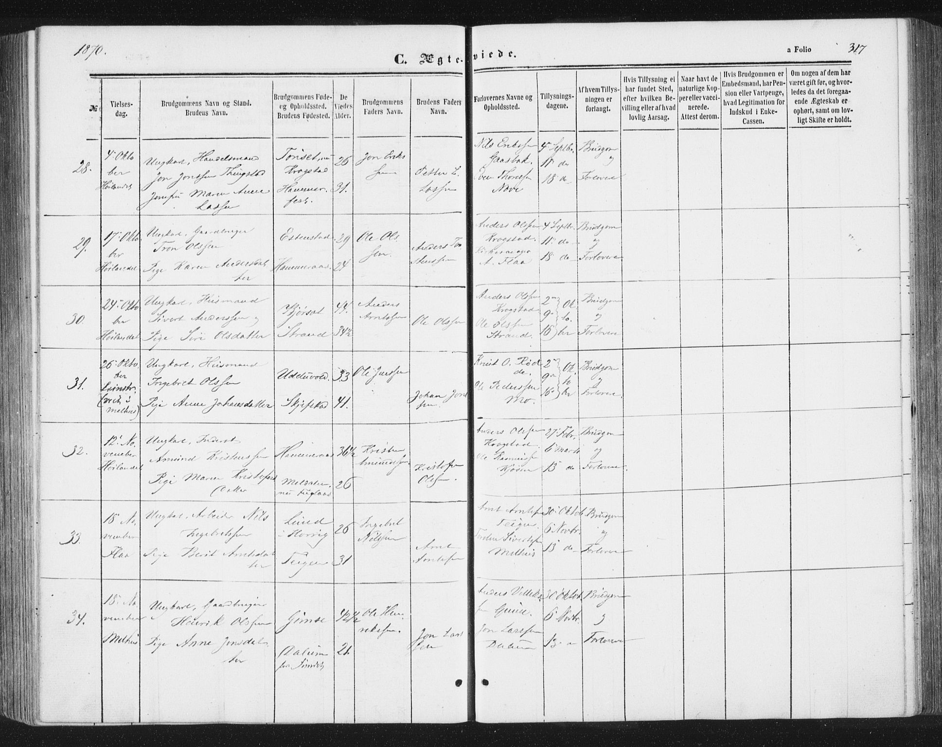 Ministerialprotokoller, klokkerbøker og fødselsregistre - Sør-Trøndelag, AV/SAT-A-1456/691/L1077: Parish register (official) no. 691A09, 1862-1873, p. 317