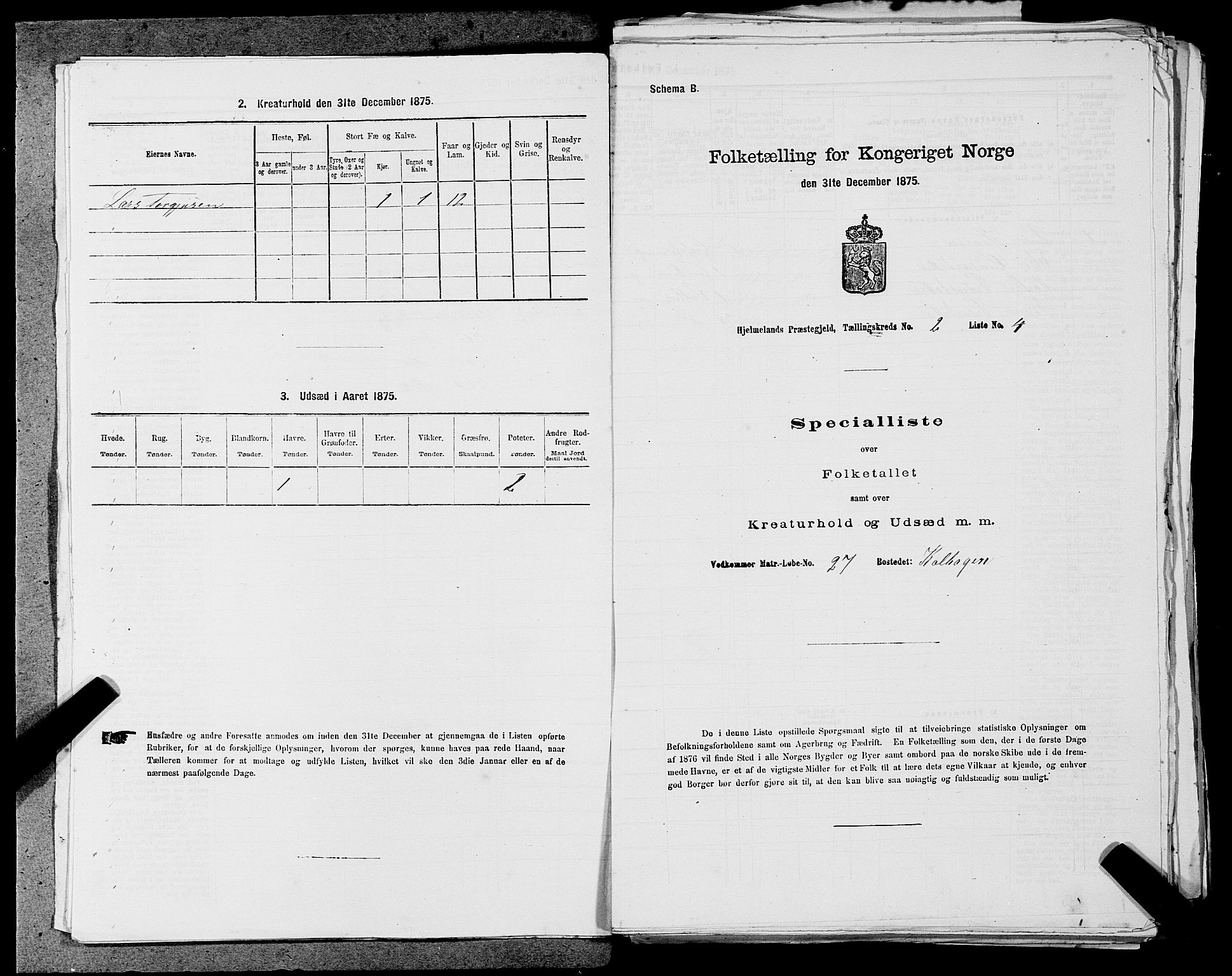 SAST, 1875 census for 1133P Hjelmeland, 1875, p. 205