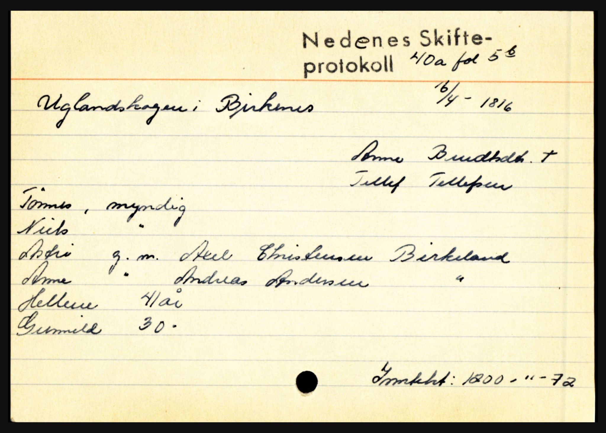 Nedenes sorenskriveri før 1824, AV/SAK-1221-0007/H, p. 32013