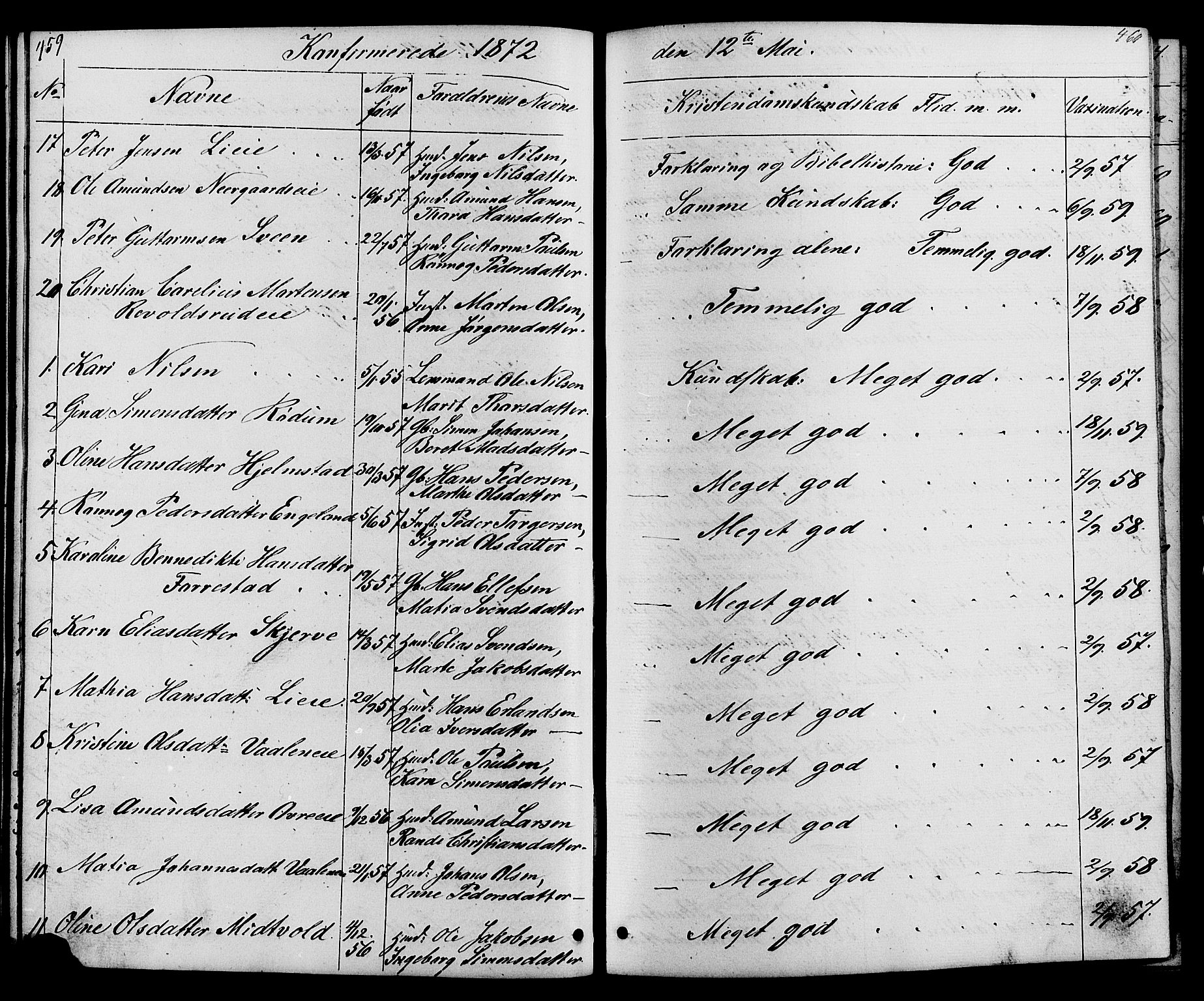 Østre Gausdal prestekontor, SAH/PREST-092/H/Ha/Hab/L0001: Parish register (copy) no. 1, 1863-1893, p. 459-460