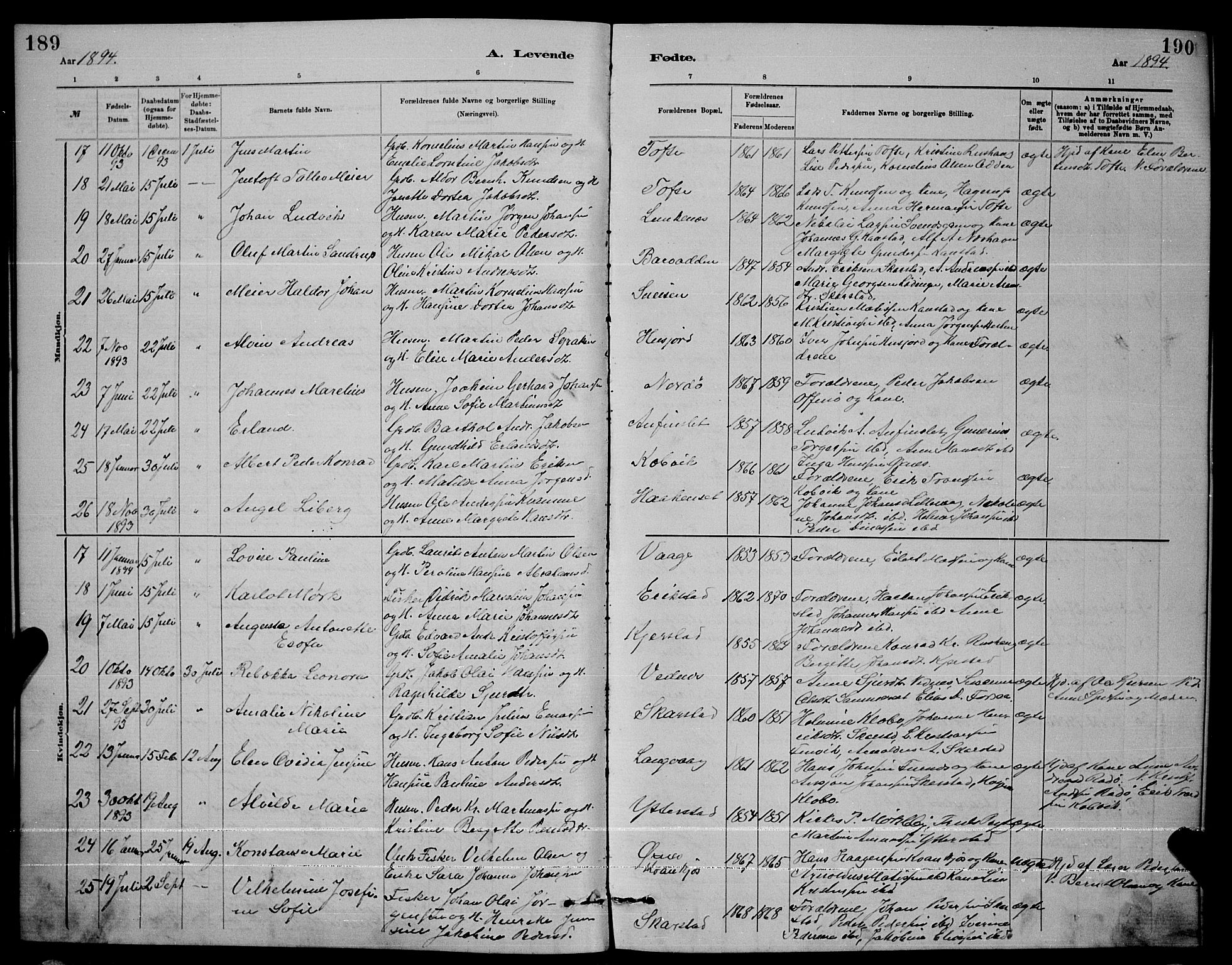 Ministerialprotokoller, klokkerbøker og fødselsregistre - Nordland, AV/SAT-A-1459/872/L1047: Parish register (copy) no. 872C03, 1880-1897, p. 189-190