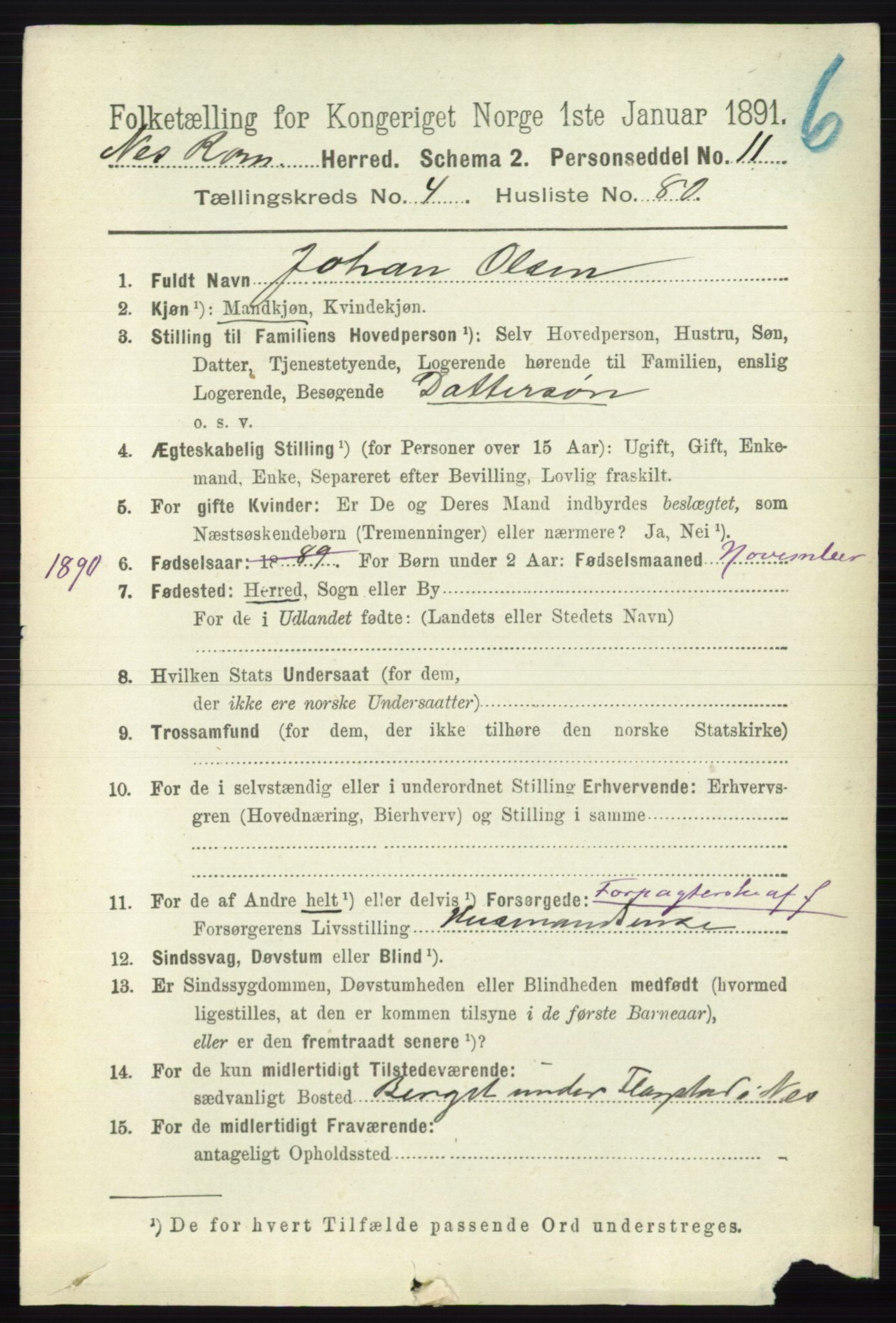 RA, 1891 census for 0236 Nes, 1891, p. 2699