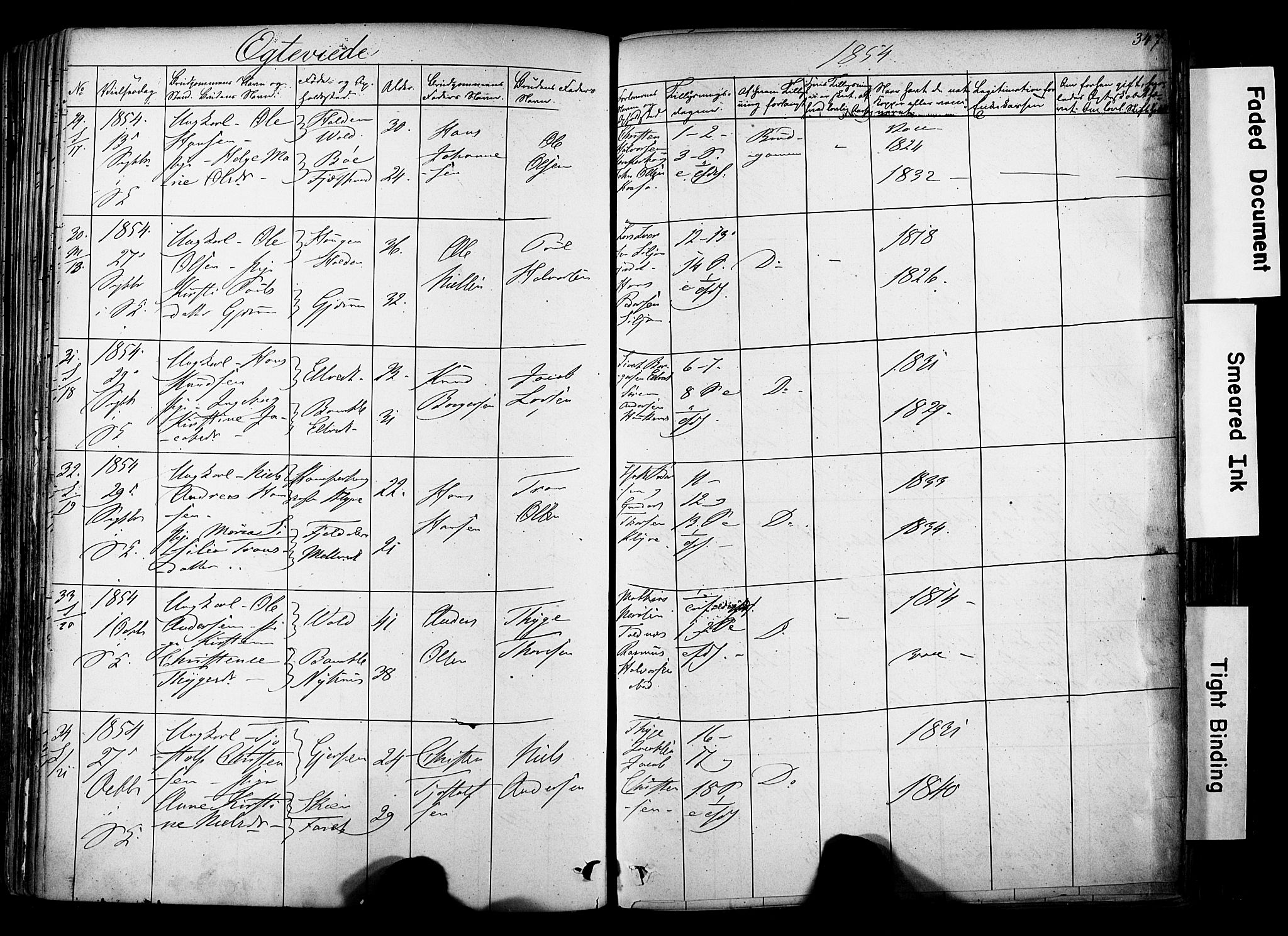 Solum kirkebøker, SAKO/A-306/F/Fa/L0006: Parish register (official) no. I 6, 1844-1855, p. 347