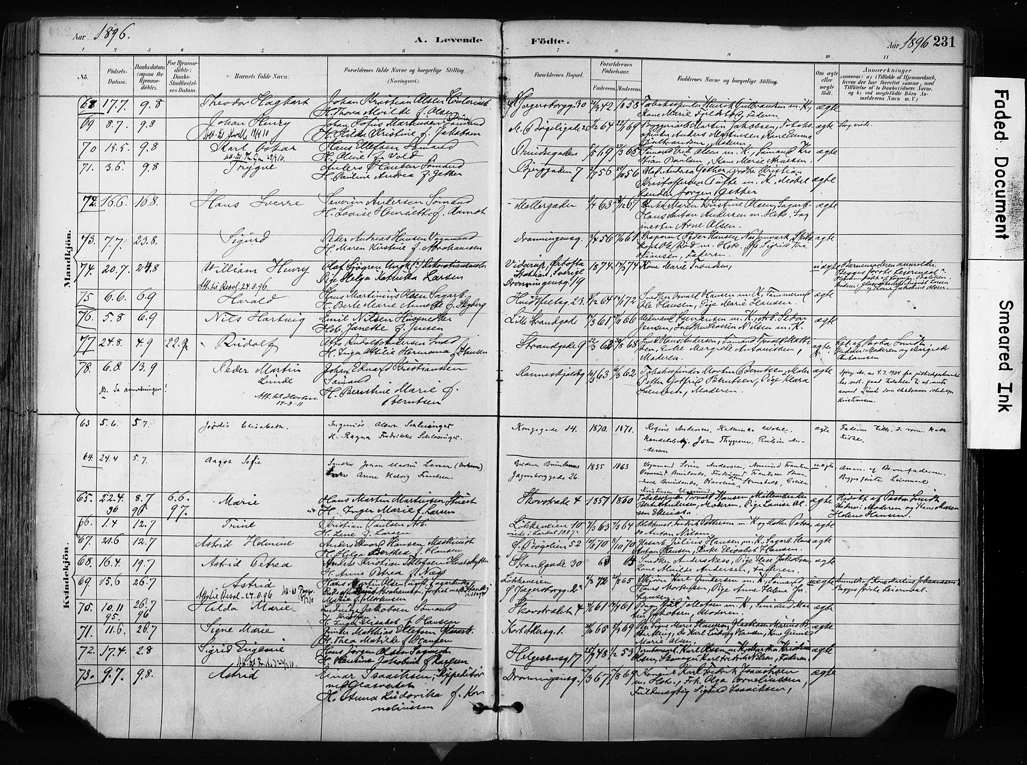 Larvik kirkebøker, AV/SAKO-A-352/F/Fa/L0009: Parish register (official) no. I 9, 1884-1904, p. 231