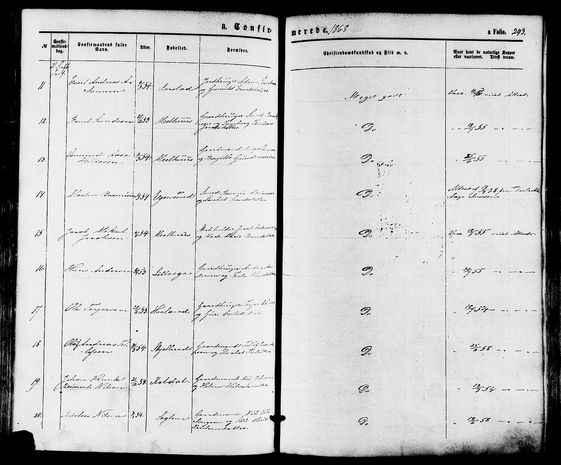 Eigersund sokneprestkontor, SAST/A-101807/S08/L0014: Parish register (official) no. A 13, 1866-1878, p. 293