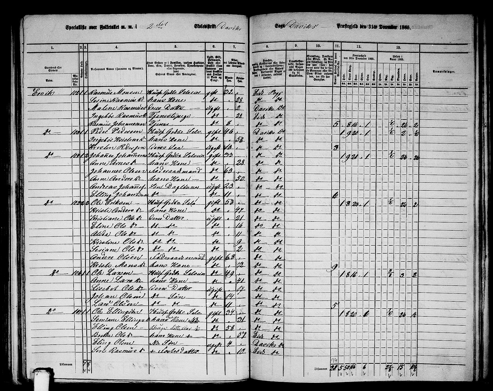 RA, 1865 census for Davik, 1865, p. 46