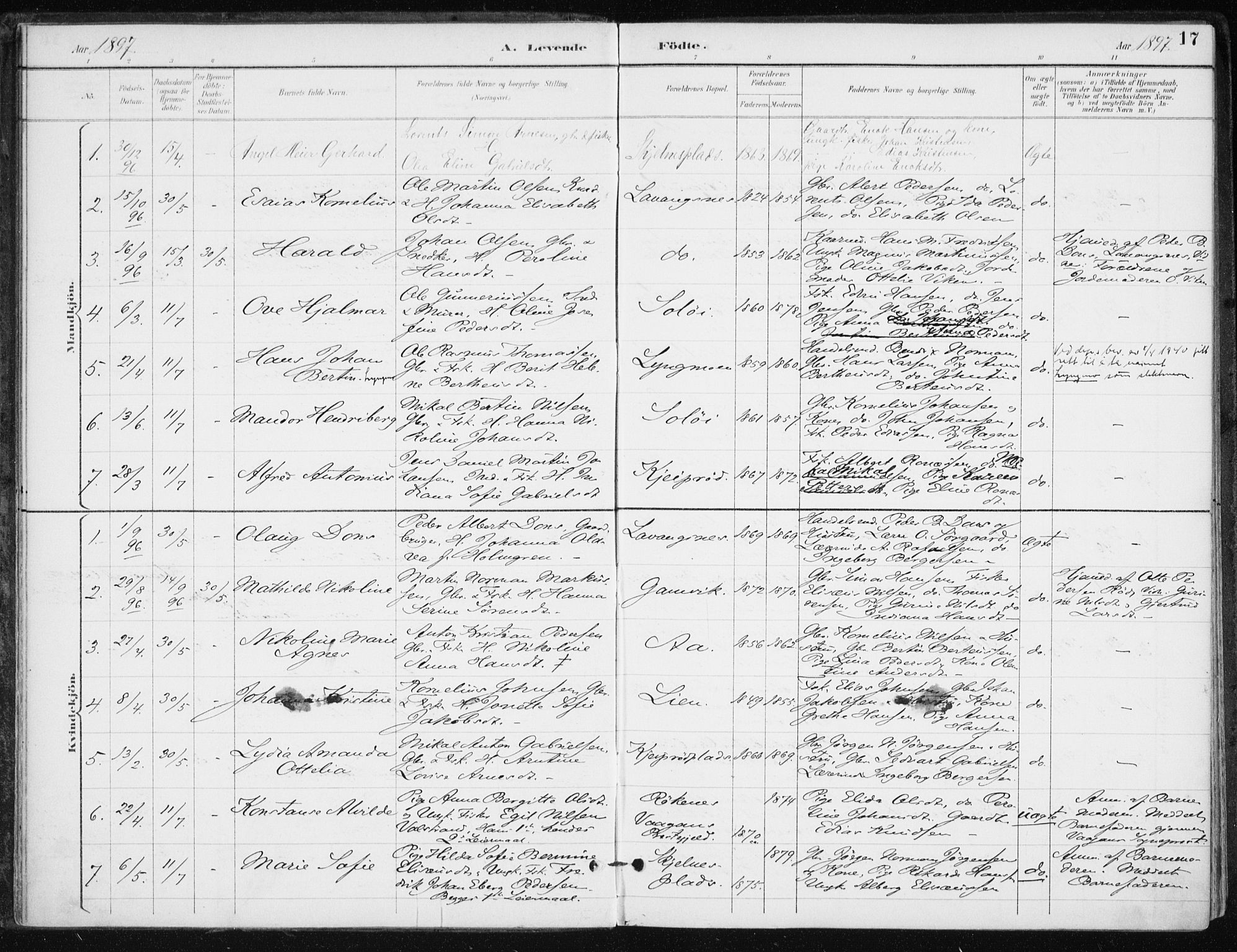 Salangen sokneprestembete, SATØ/S-1324/H/Ha/L0001kirke: Parish register (official) no. 1, 1893-1911, p. 17