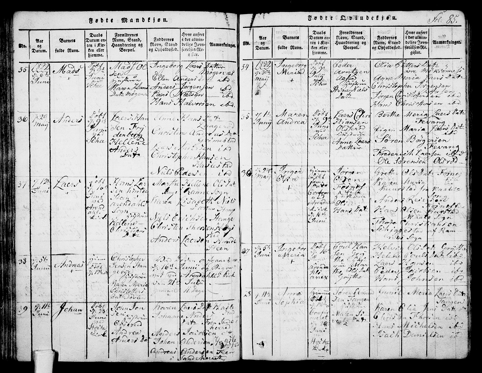 Stokke kirkebøker, AV/SAKO-A-320/F/Fa/L0005: Parish register (official) no. I 5, 1815-1826, p. 85