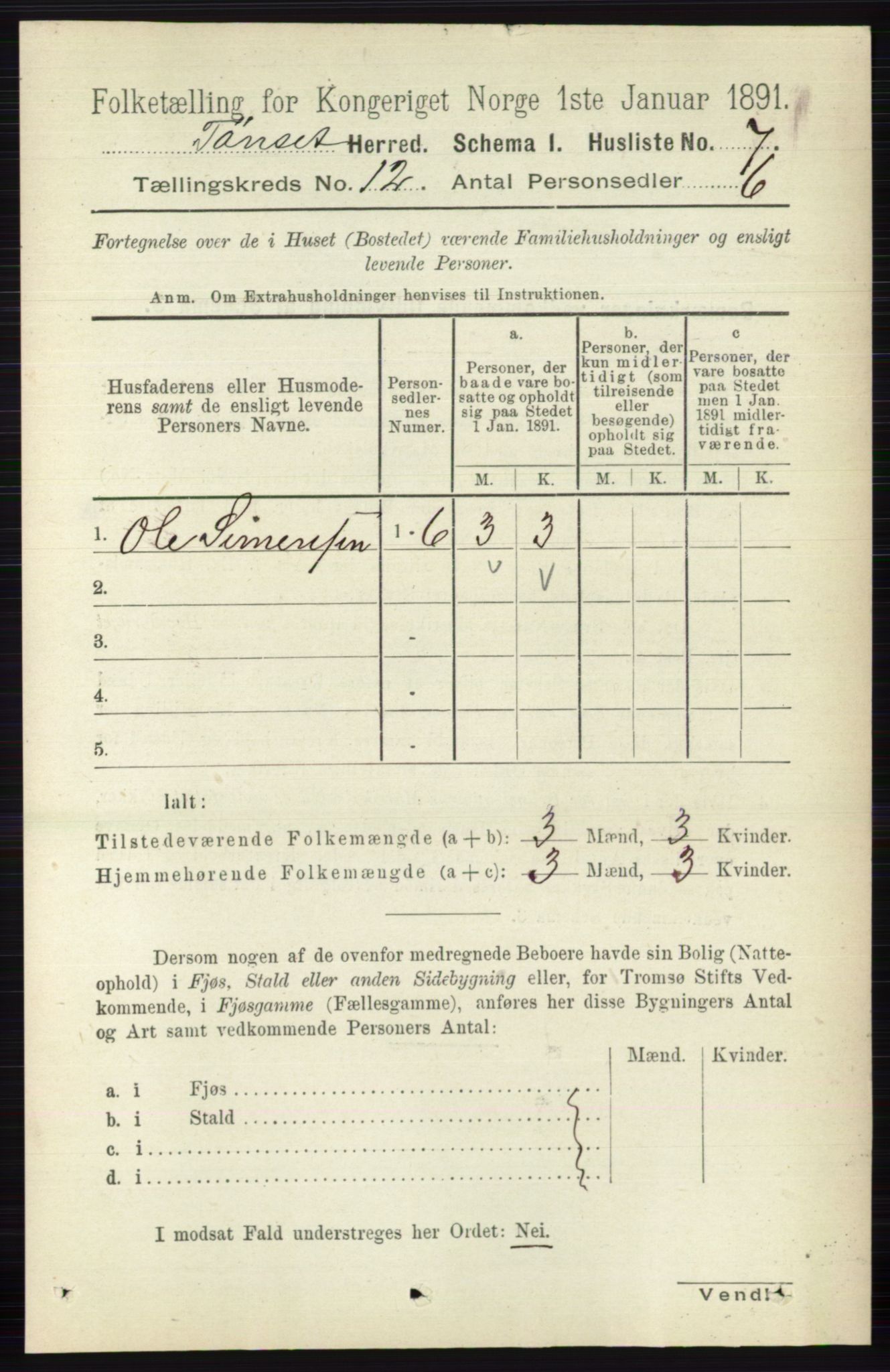 RA, 1891 census for 0437 Tynset, 1891, p. 3156