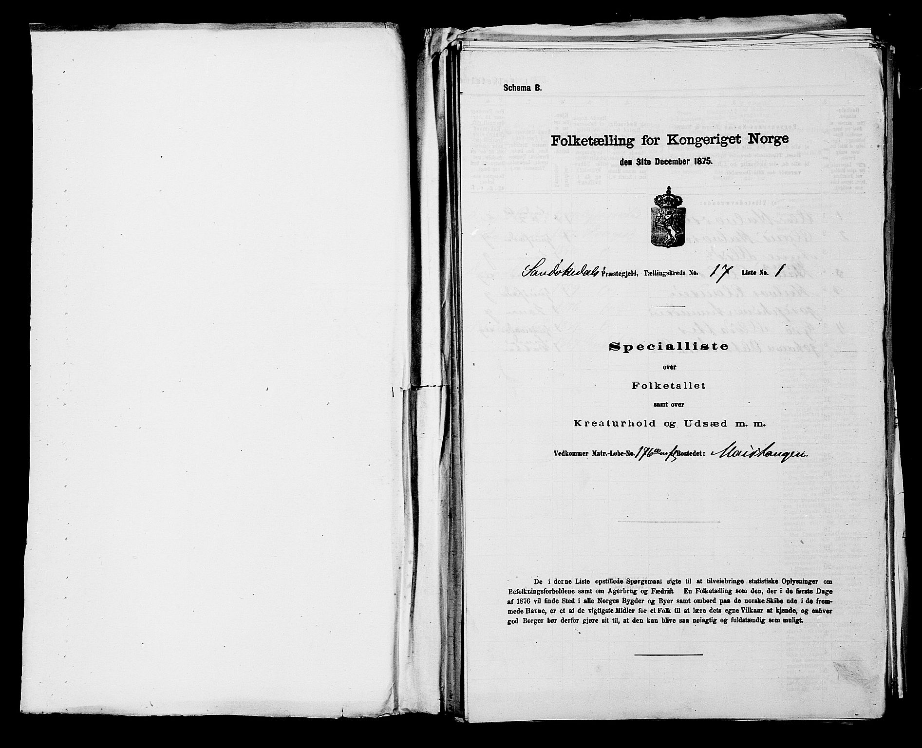 SAKO, 1875 census for 0816P Sannidal, 1875, p. 1313