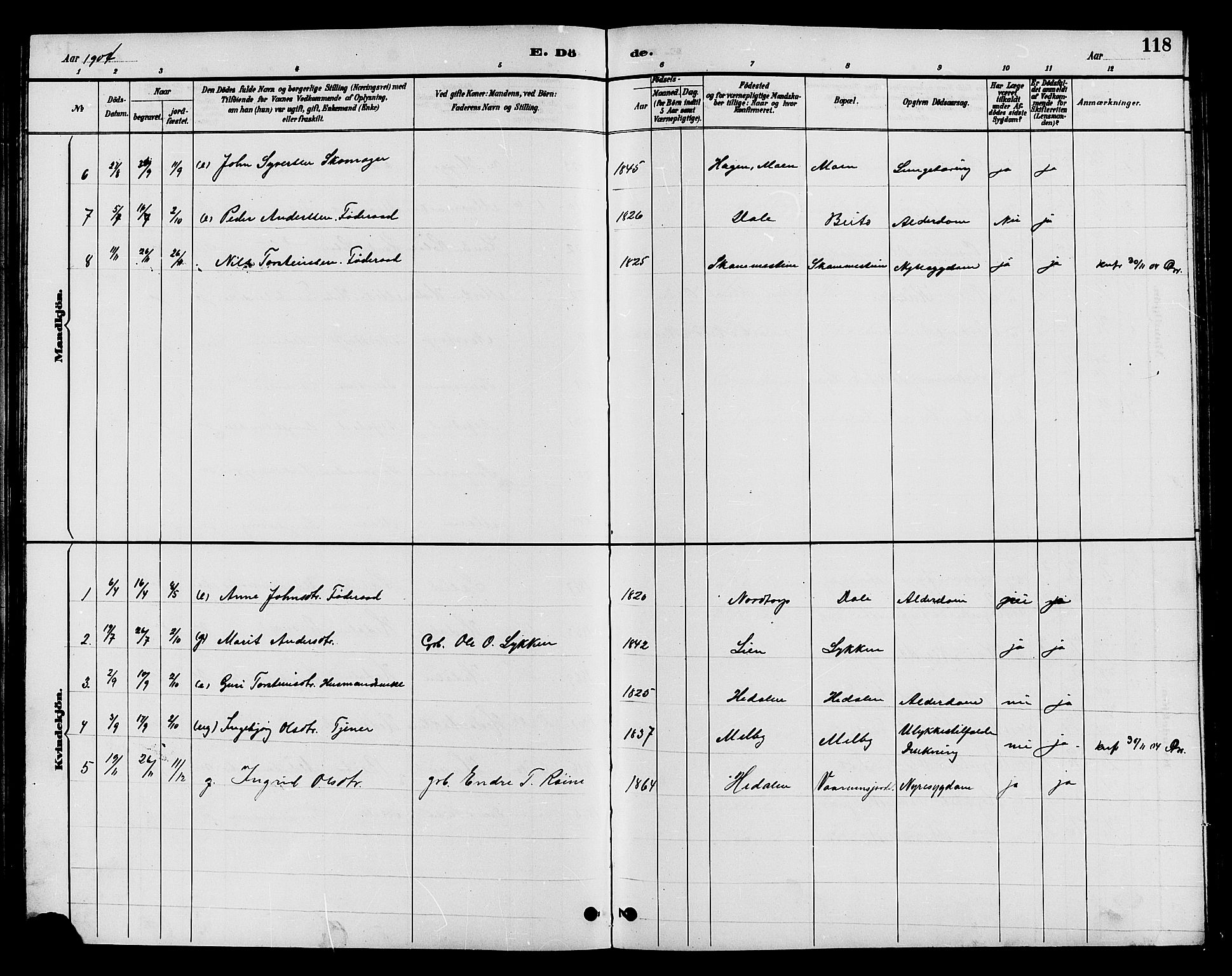 Øystre Slidre prestekontor, AV/SAH-PREST-138/H/Ha/Hab/L0004: Parish register (copy) no. 4, 1887-1907, p. 118