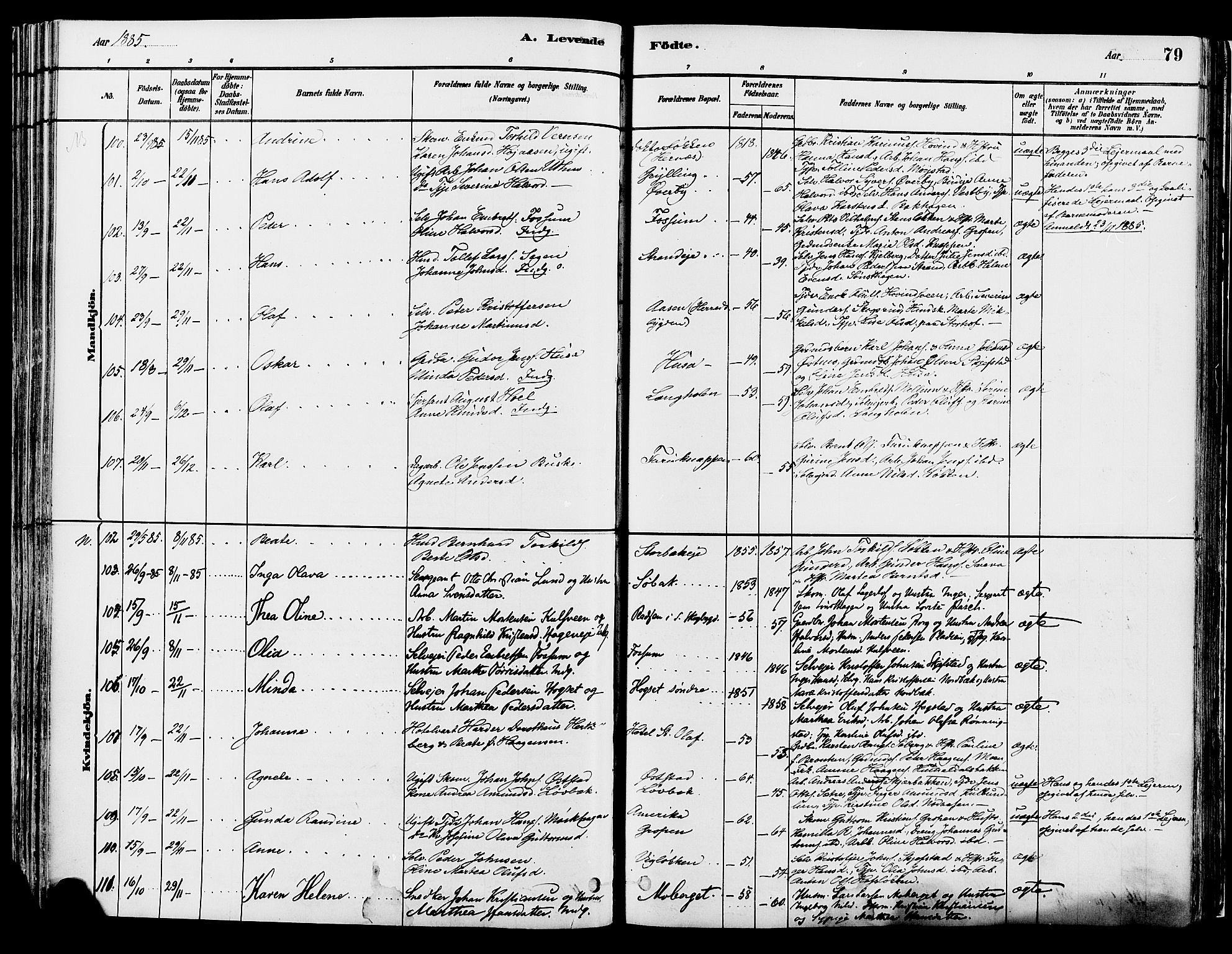 Elverum prestekontor, AV/SAH-PREST-044/H/Ha/Haa/L0013: Parish register (official) no. 13, 1880-1890, p. 79