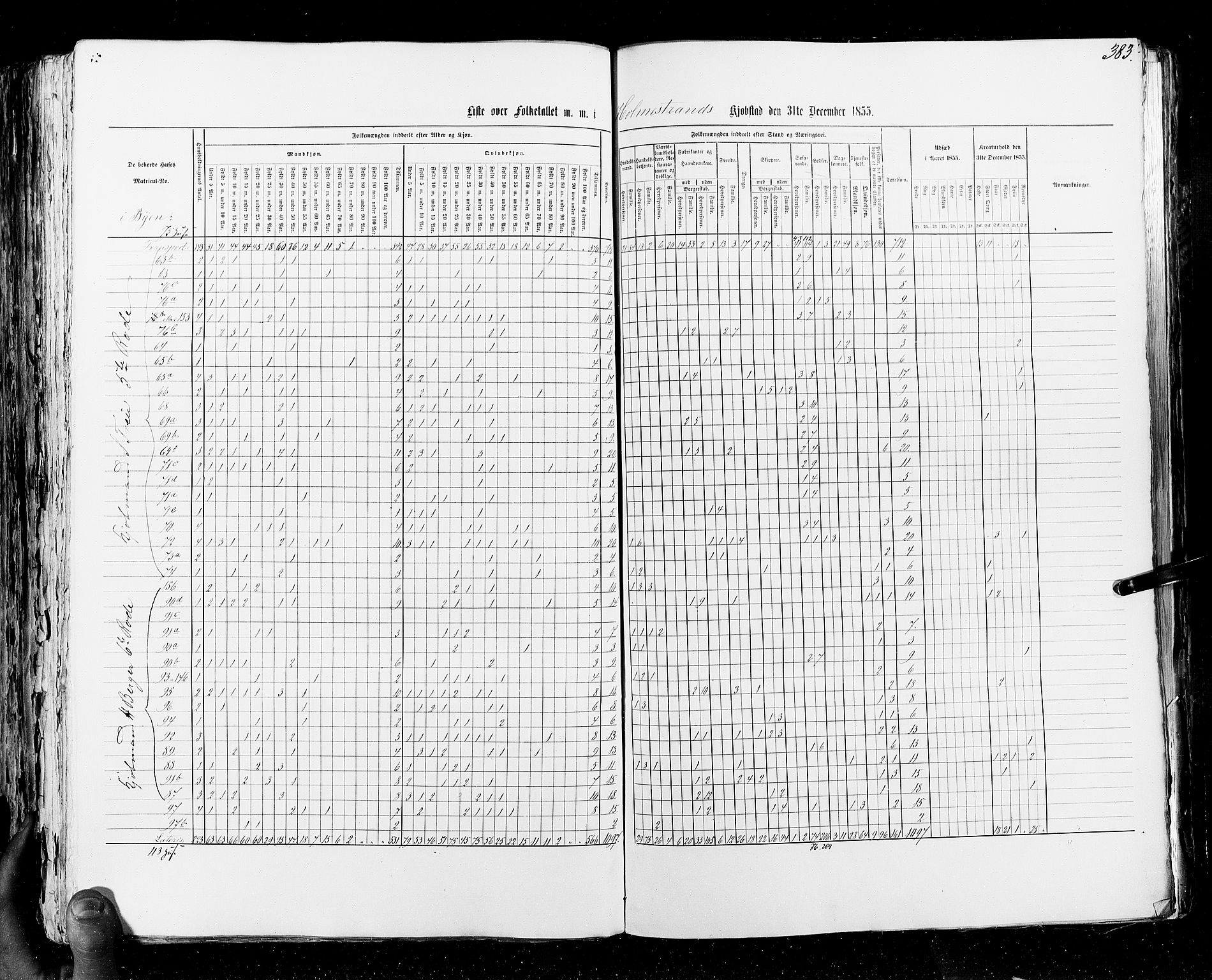 RA, Census 1855, vol. 7: Fredrikshald-Kragerø, 1855, p. 383