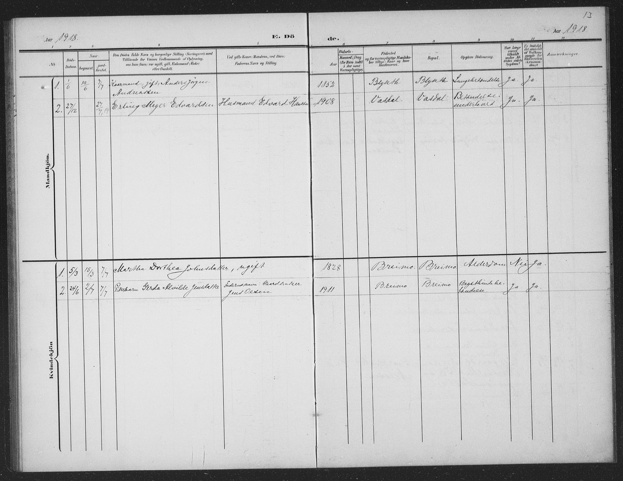 Ministerialprotokoller, klokkerbøker og fødselsregistre - Nordland, AV/SAT-A-1459/833/L0502: Parish register (copy) no. 833C01, 1906-1934, p. 13