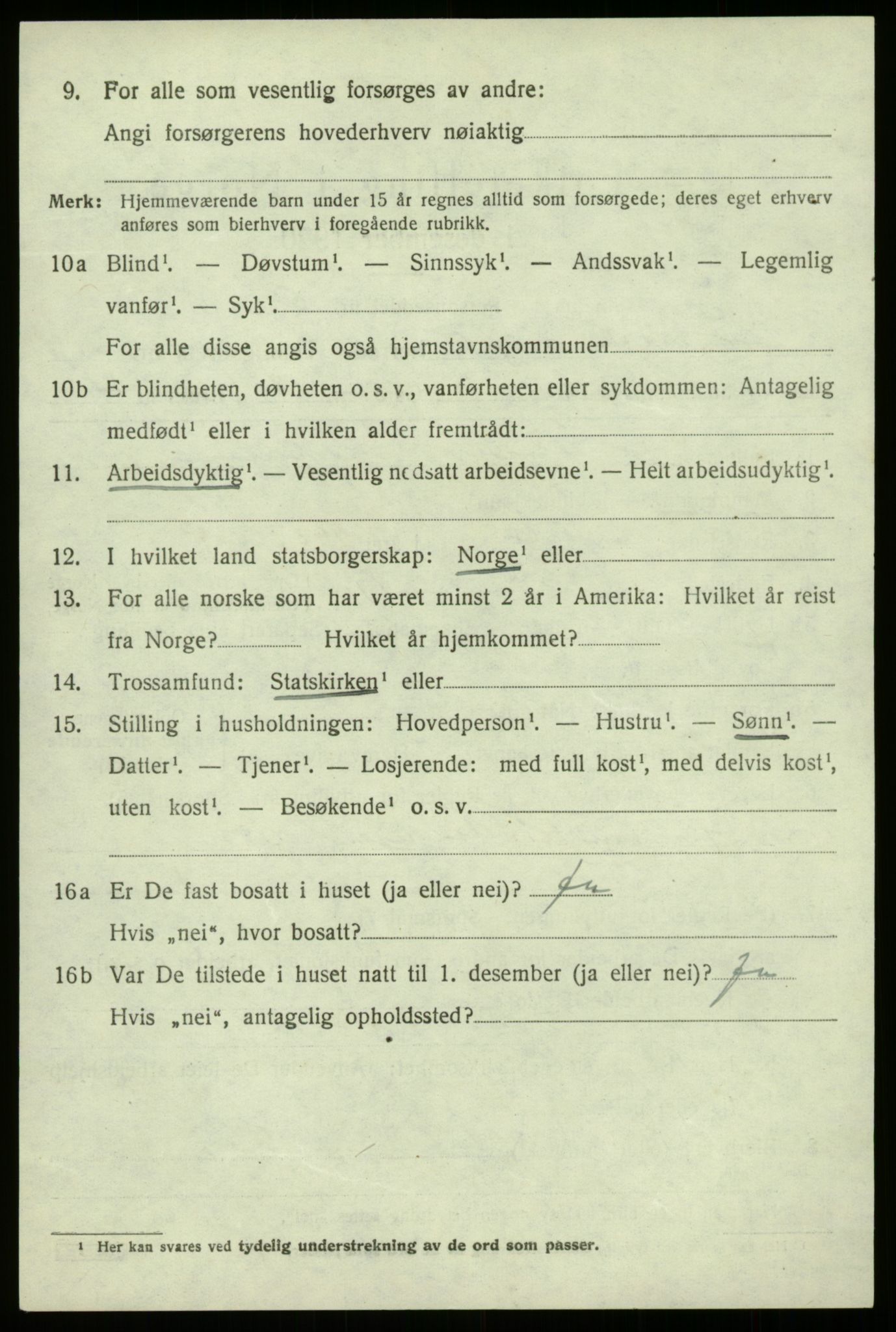 SAB, 1920 census for Lærdal, 1920, p. 1251